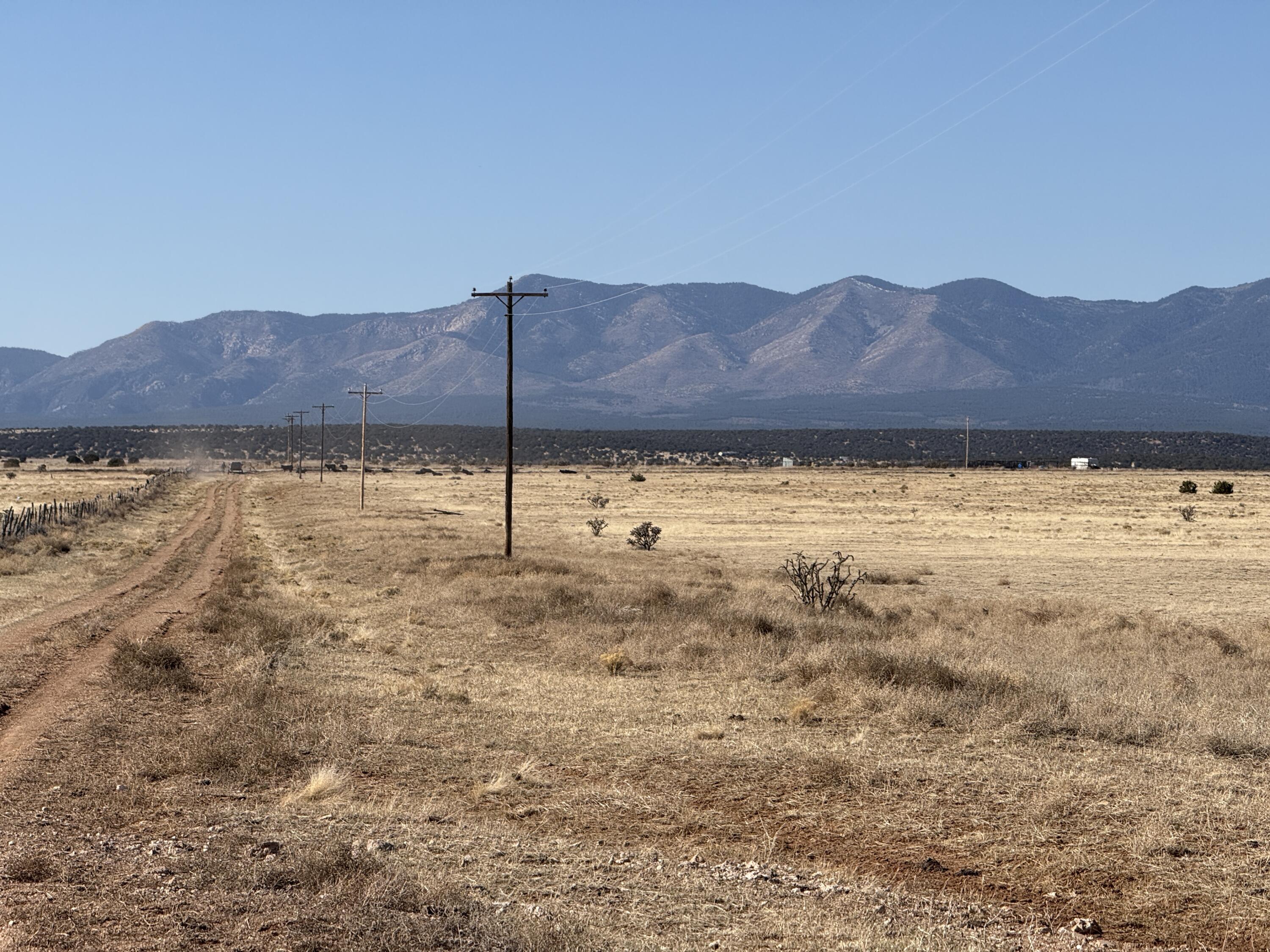 Old Willard Road, Mountainair, New Mexico image 36