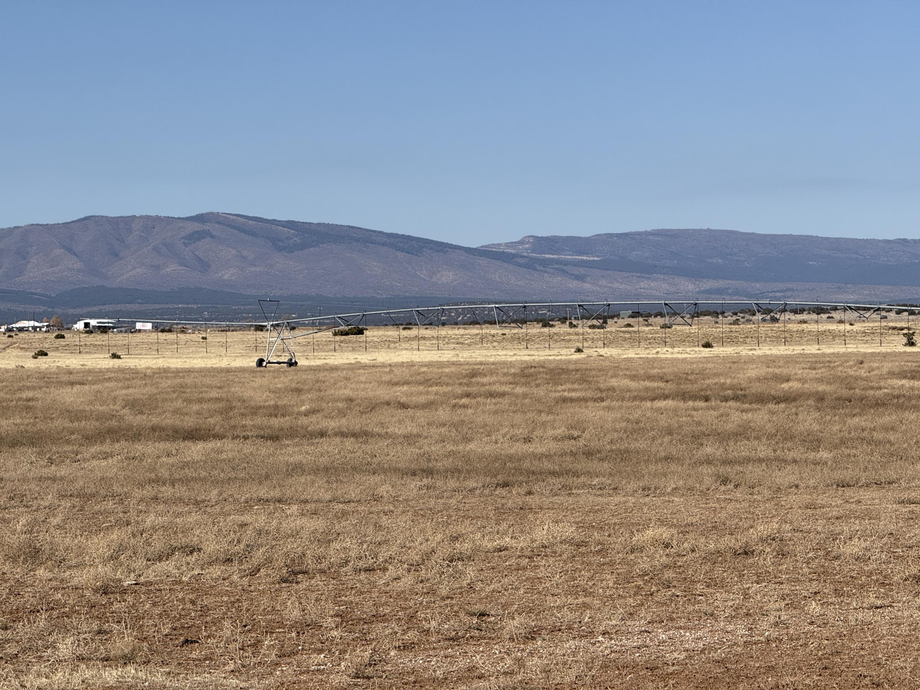 Old Willard Road, Mountainair, New Mexico image 35