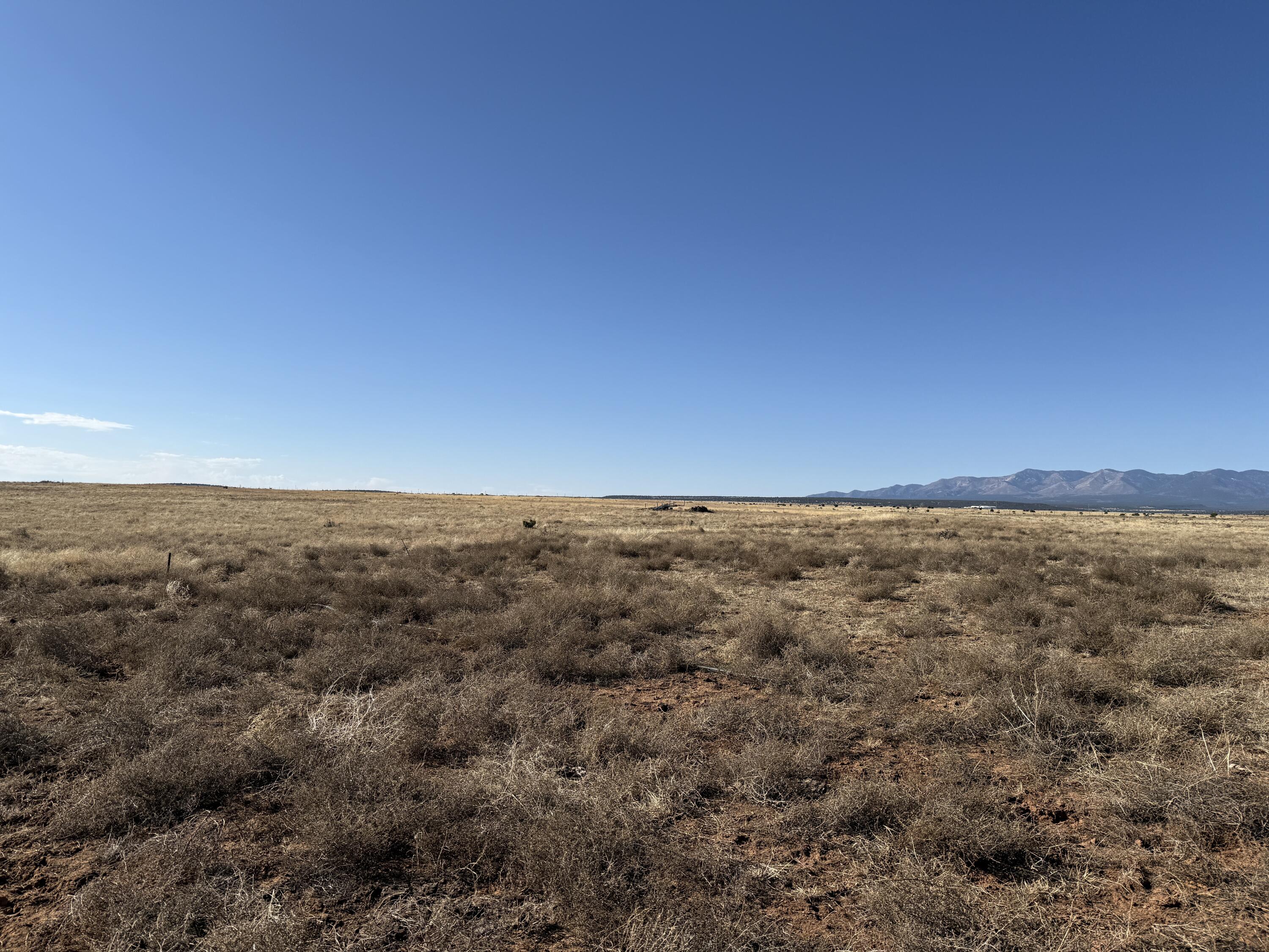 Old Willard Road, Mountainair, New Mexico image 6