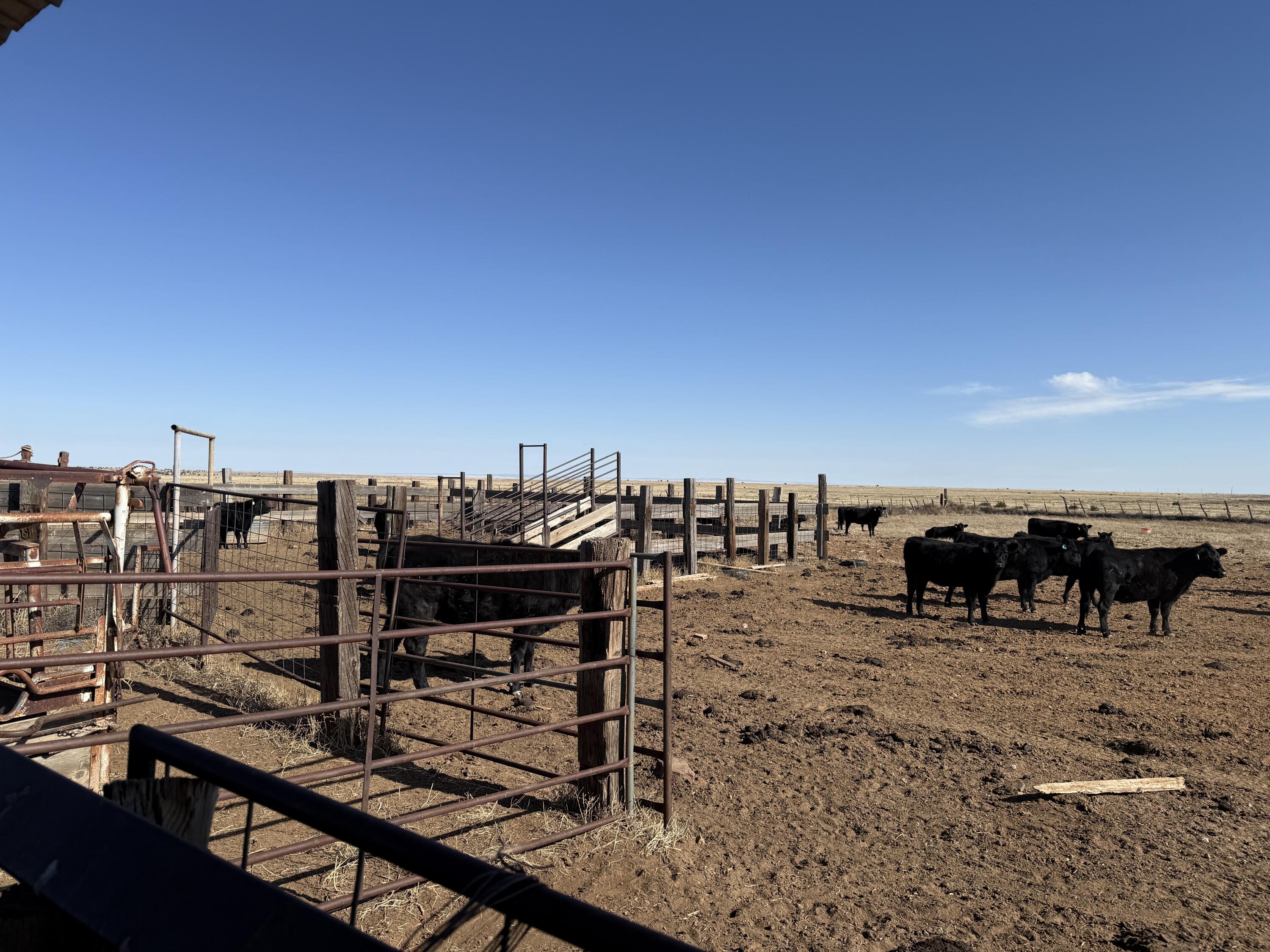 Old Willard Road, Mountainair, New Mexico image 26