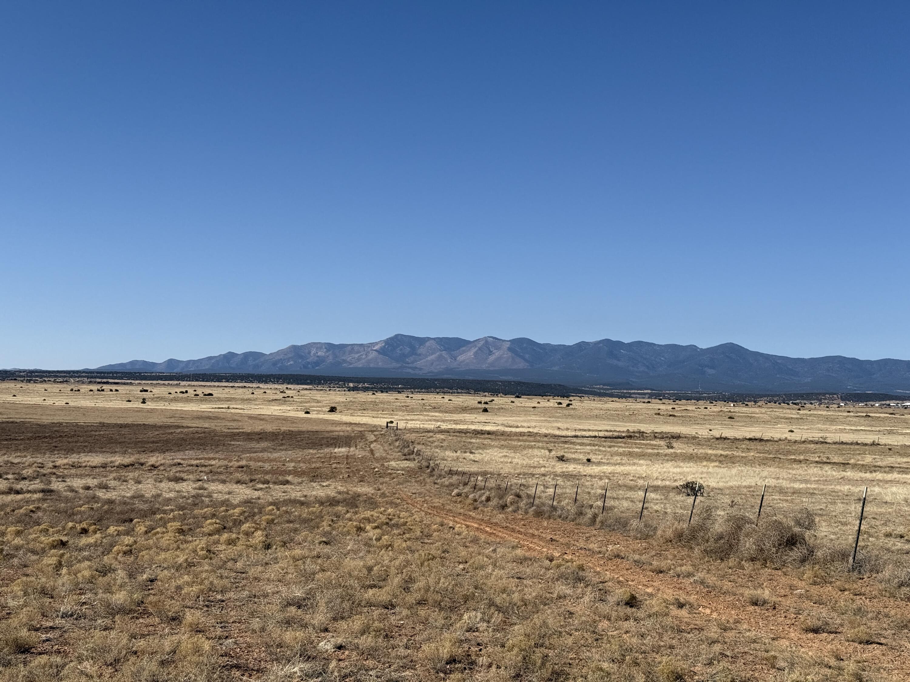 Old Willard Road, Mountainair, New Mexico image 15