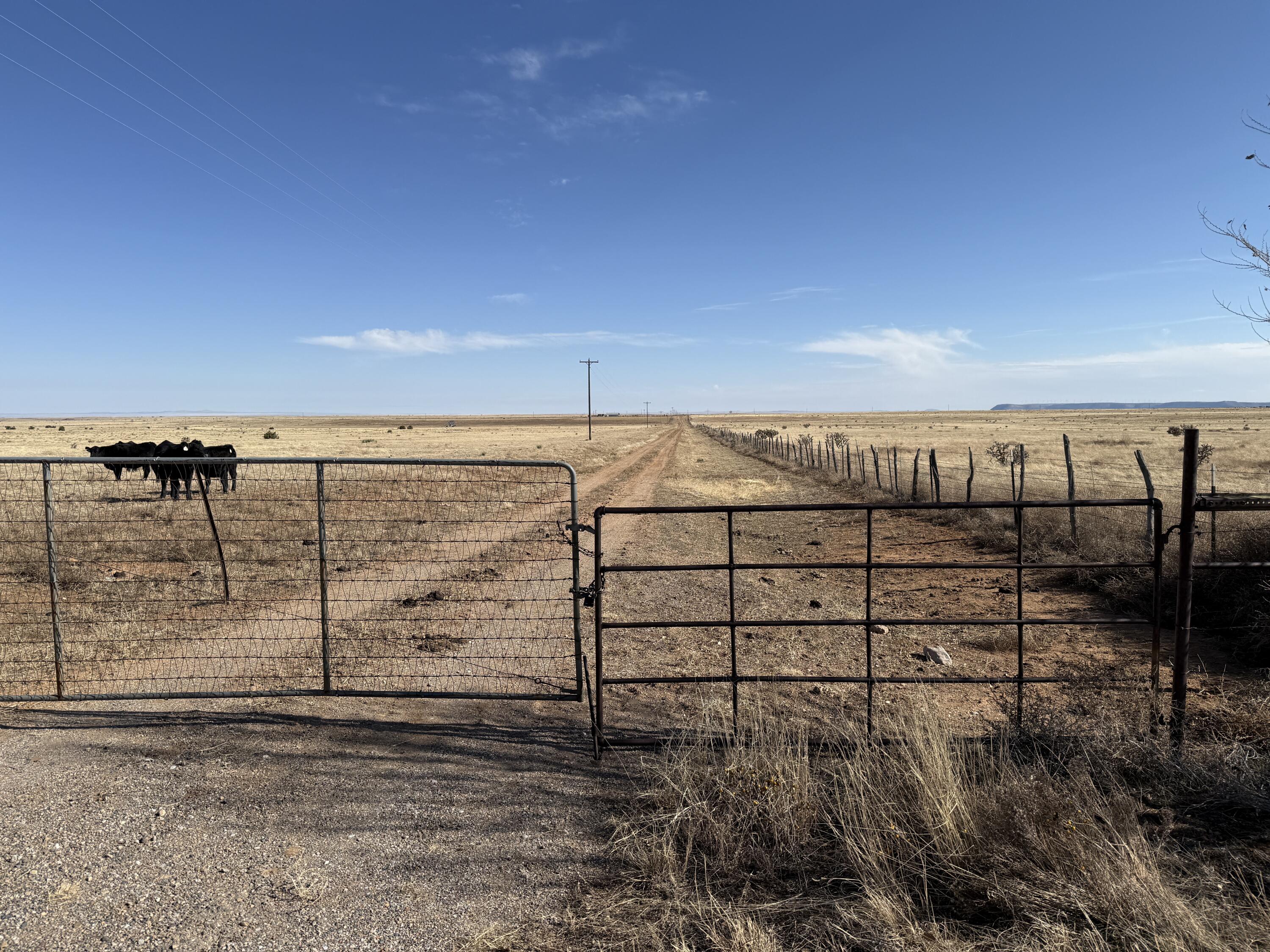 Old Willard Road, Mountainair, New Mexico image 38