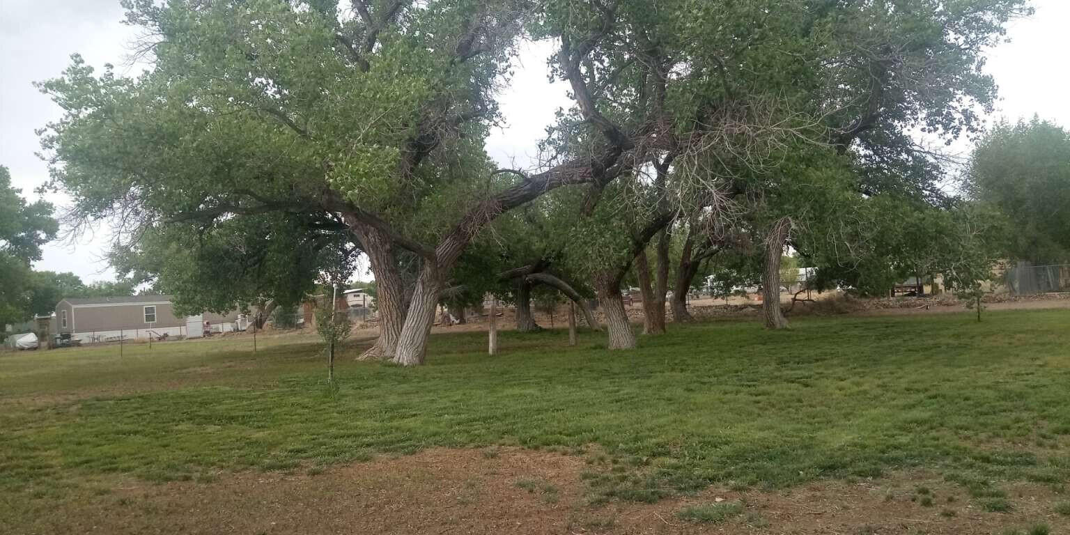 33 Valencia Road, Peralta, New Mexico image 34