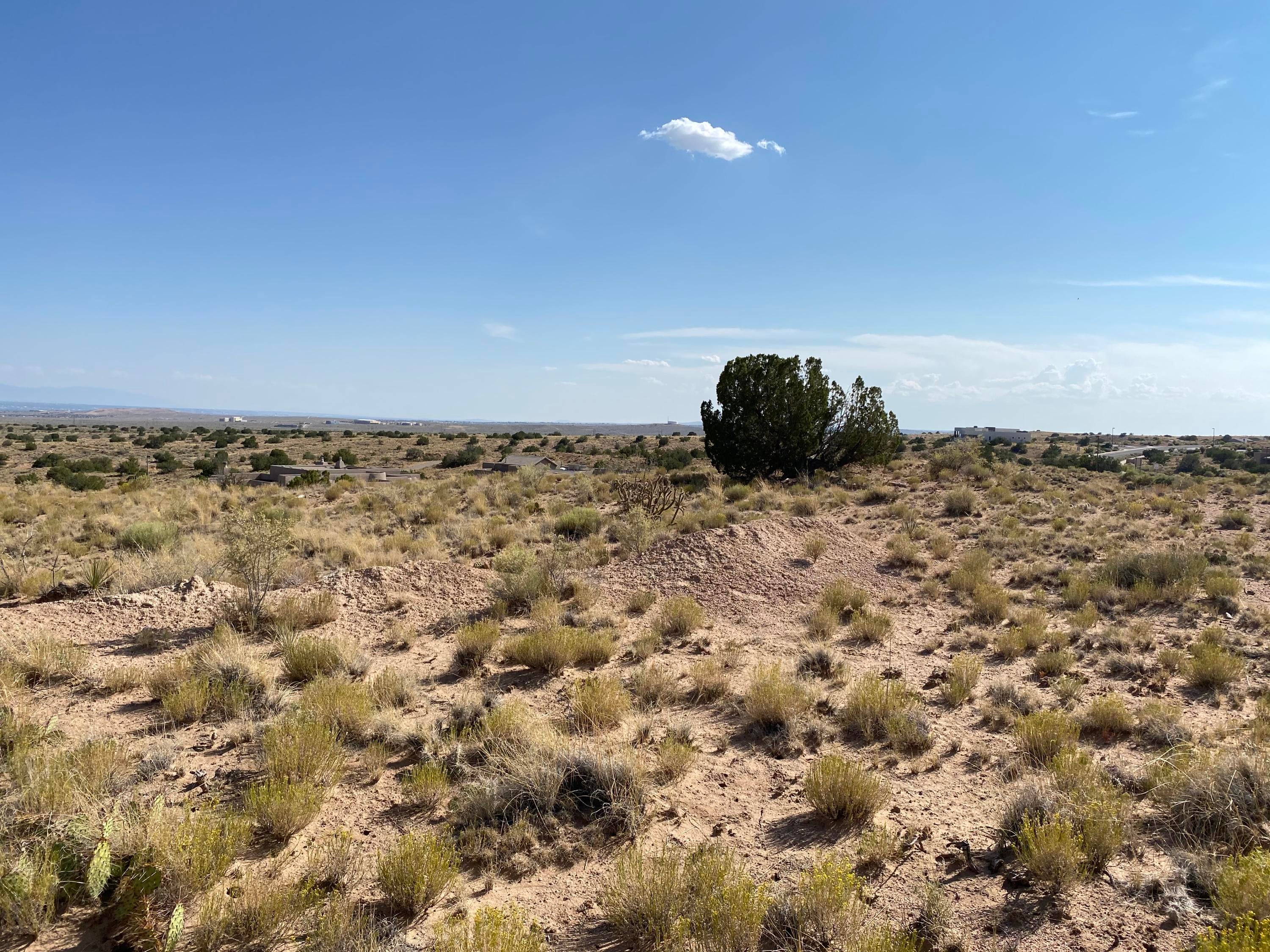 2409 DESERT MARIGOLD Road NE