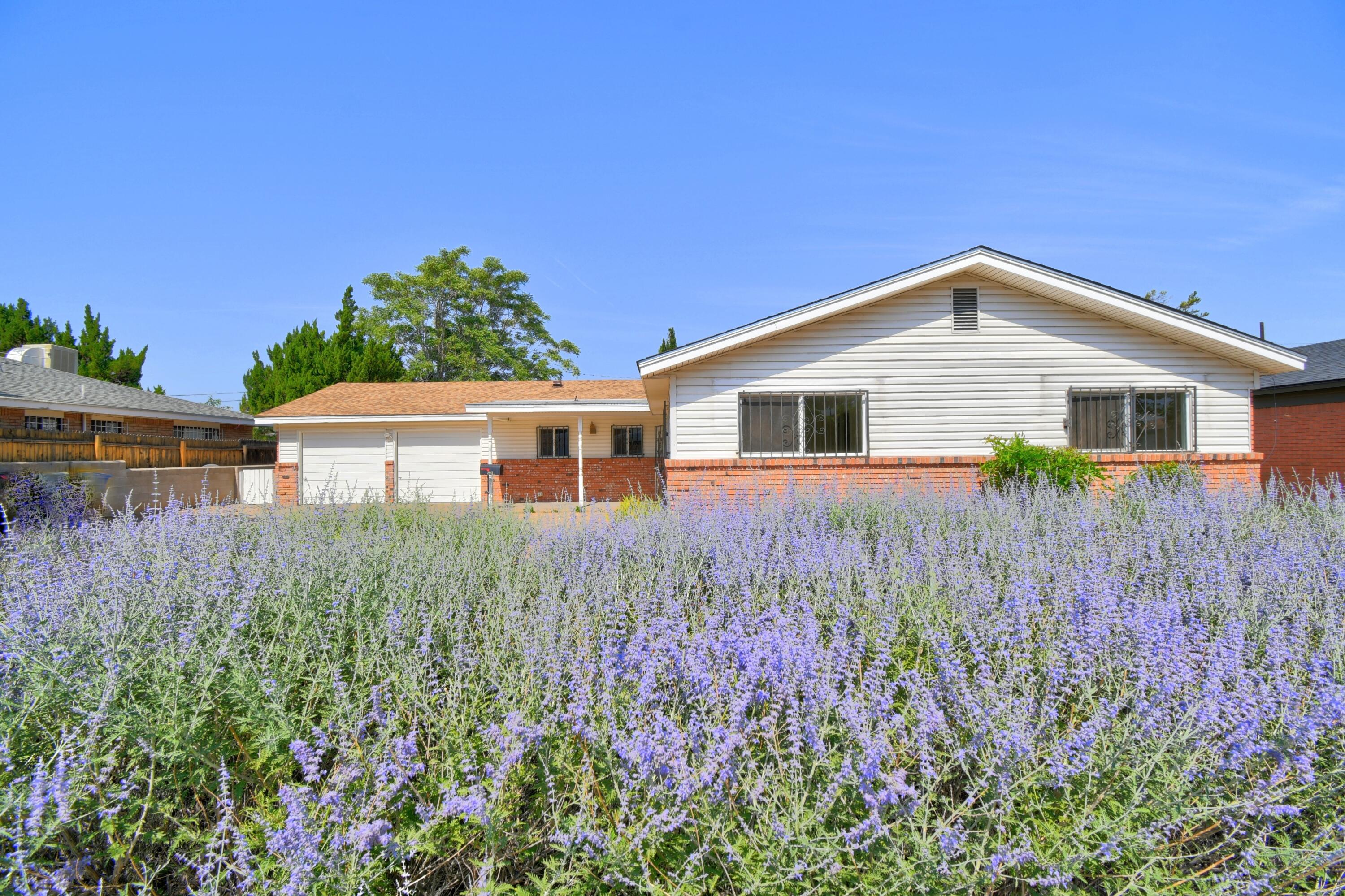 2917 Chama Street, Albuquerque, New Mexico image 2