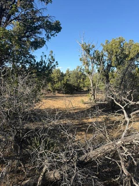 Lot 6 Five Gate Road