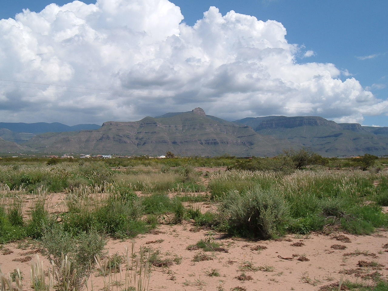 Hamilton Road, Alamogordo, New Mexico image 5