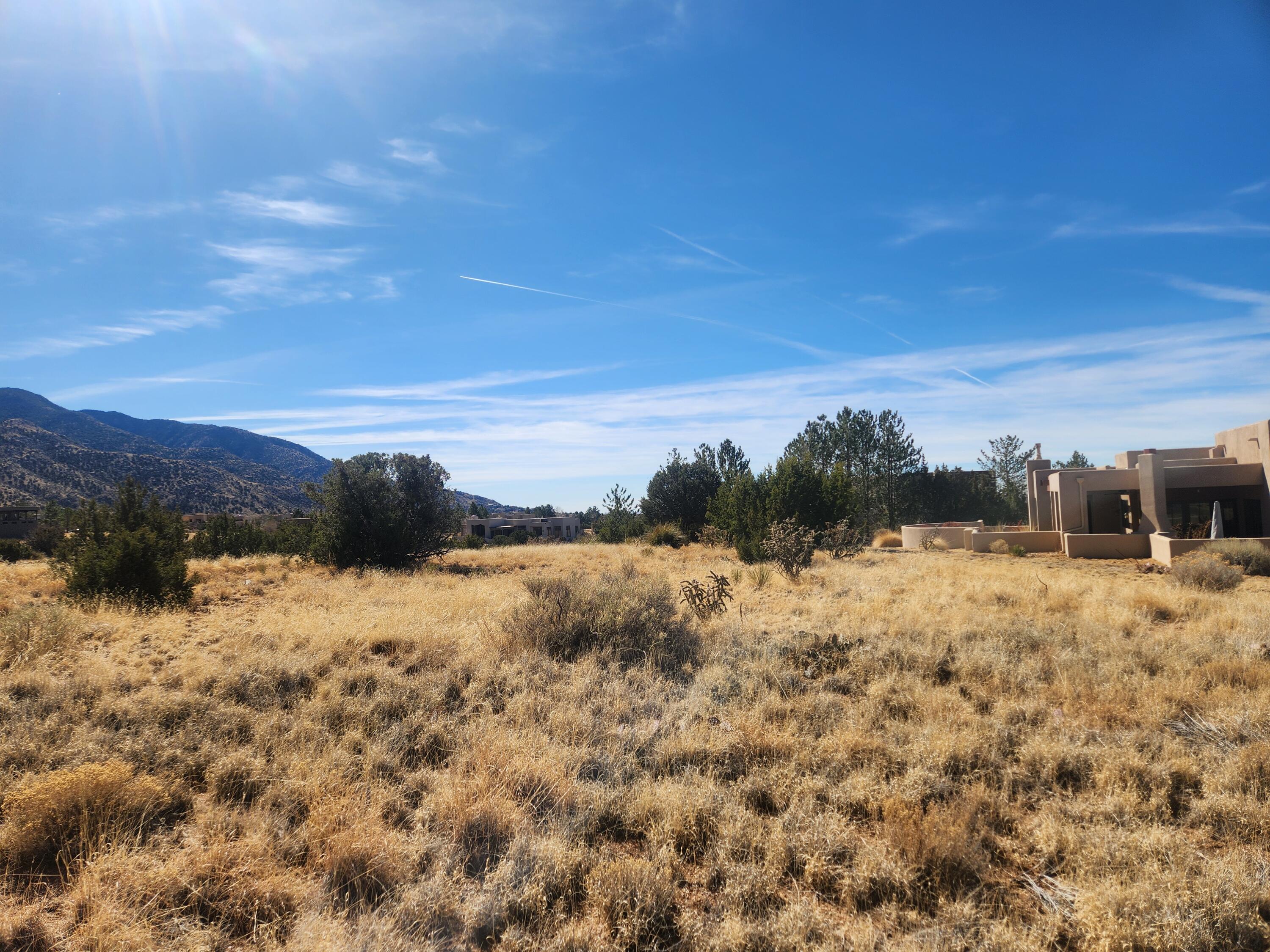 13516 Pino Ridge Place NE