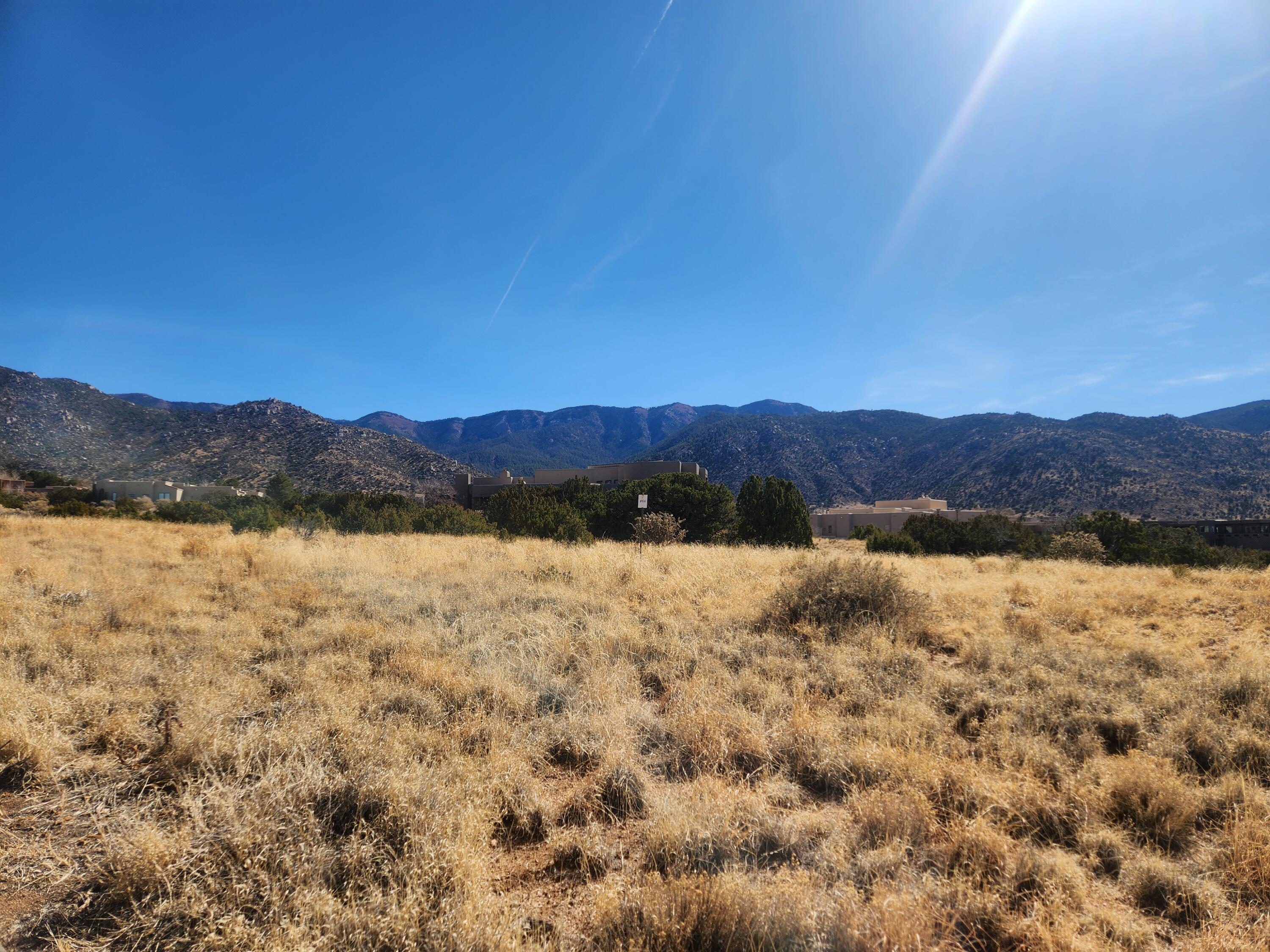 13516 Pino Ridge Place NE