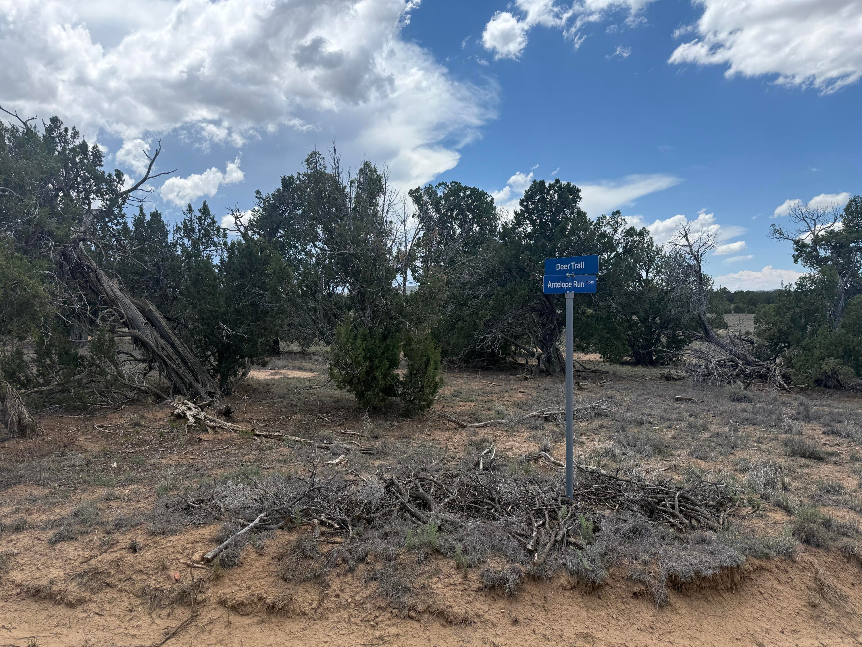 LOT: 129 ANTELOPE RUN Road
