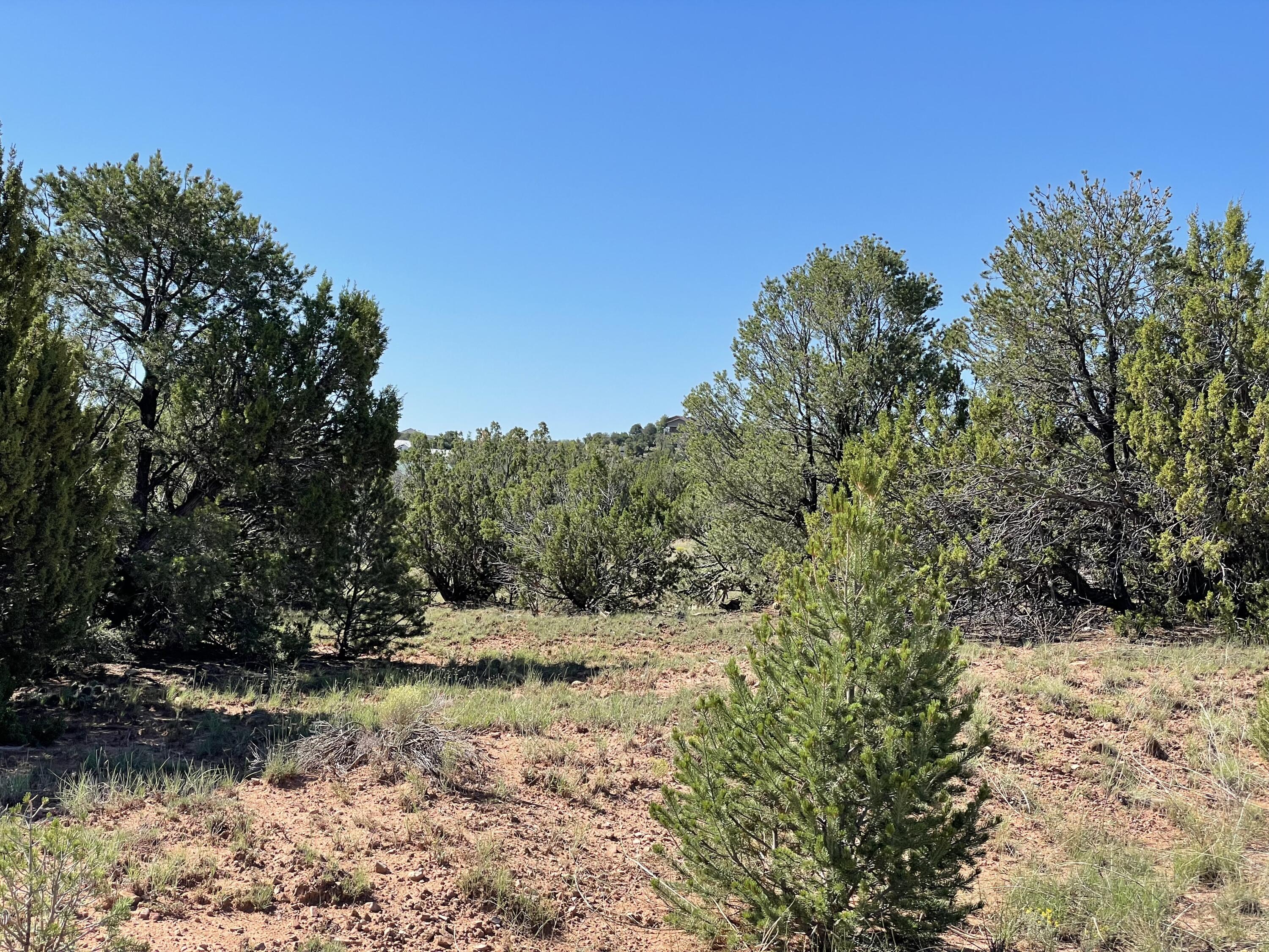 2 Tigua Drive, Sandia Park, New Mexico image 13