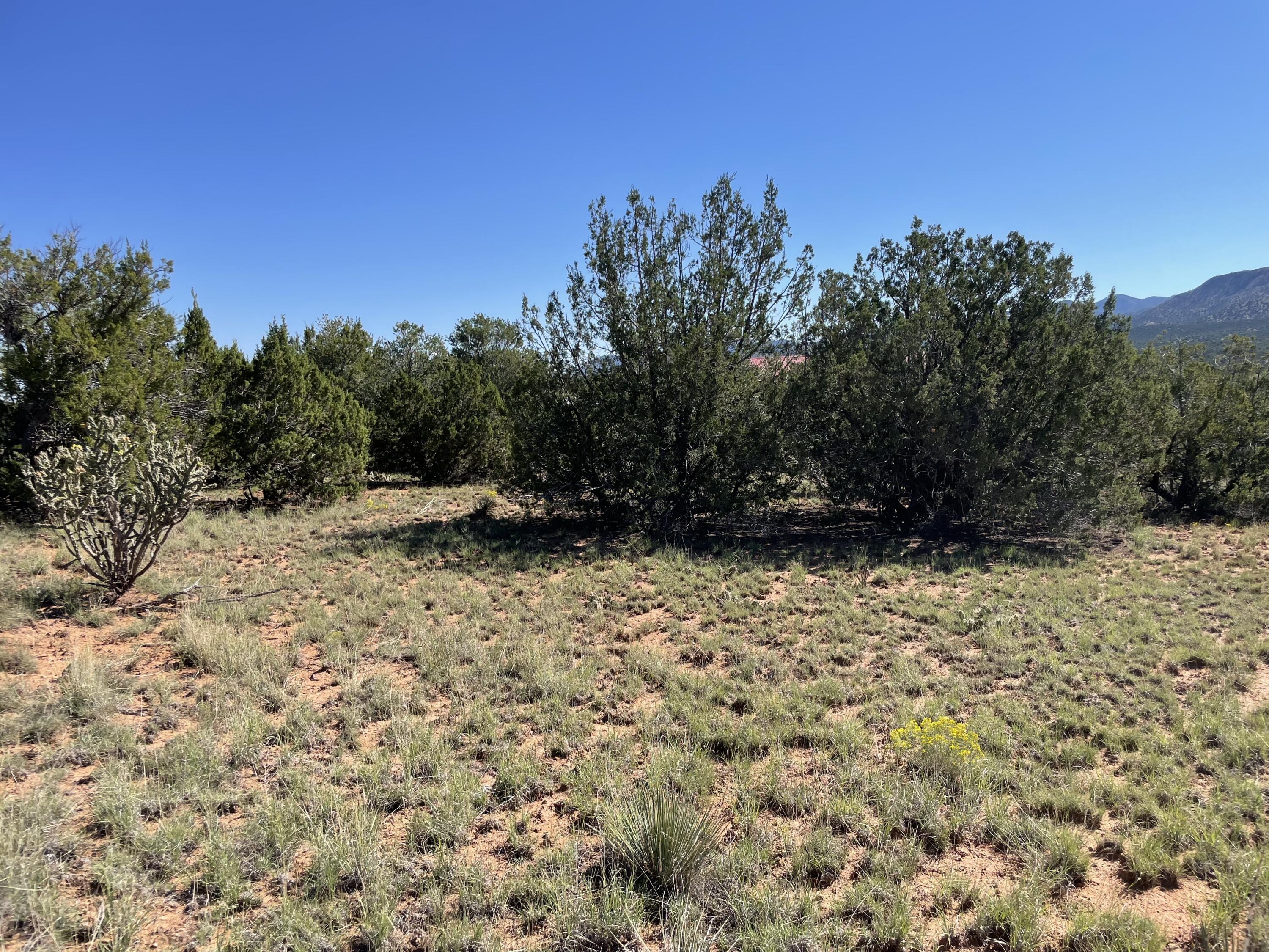 2 Tigua Drive, Sandia Park, New Mexico image 23