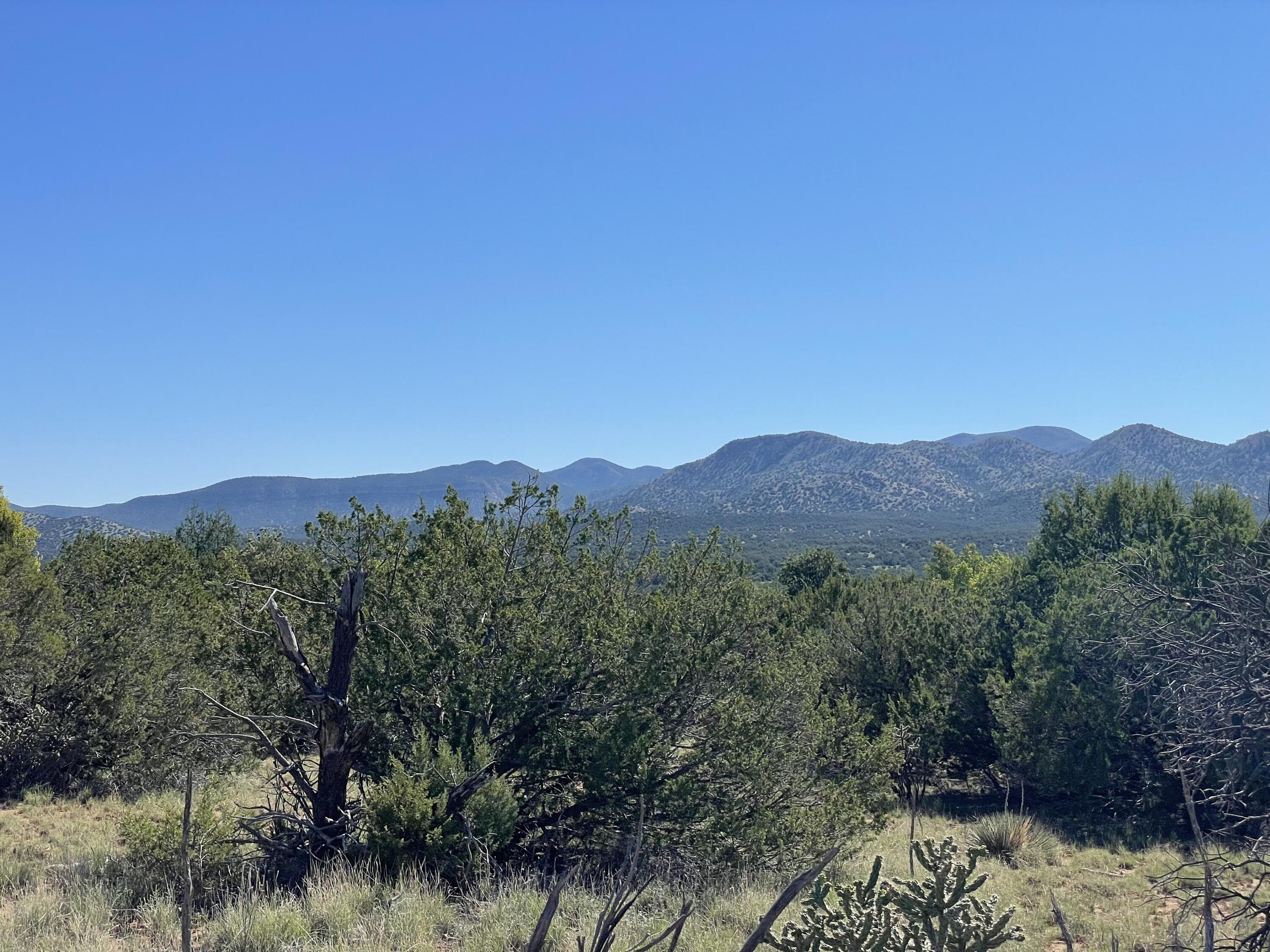 2 Tigua Drive, Sandia Park, New Mexico image 3