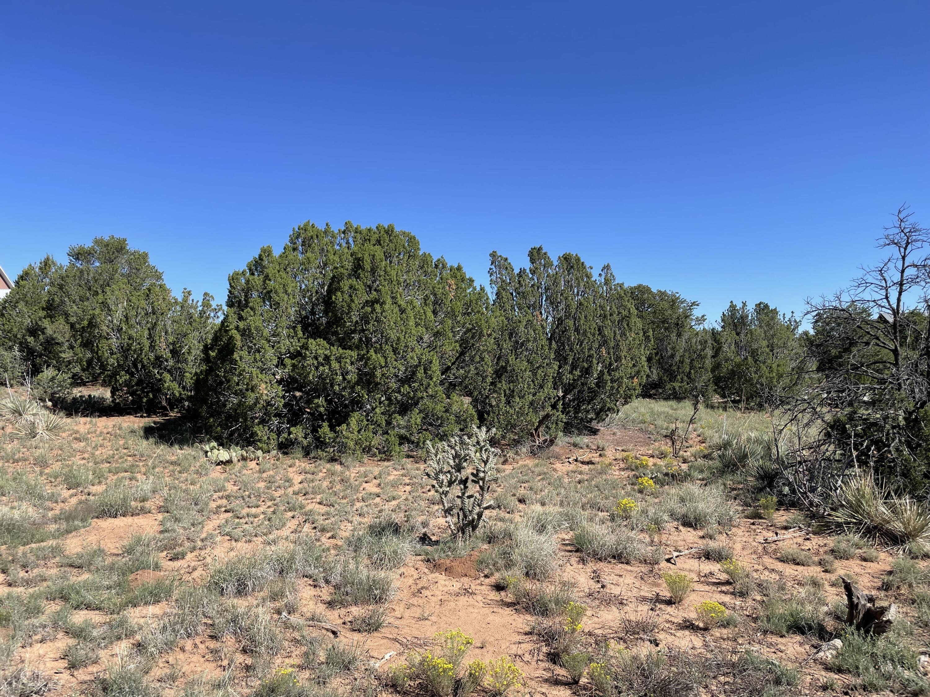 2 Tigua Drive, Sandia Park, New Mexico image 18