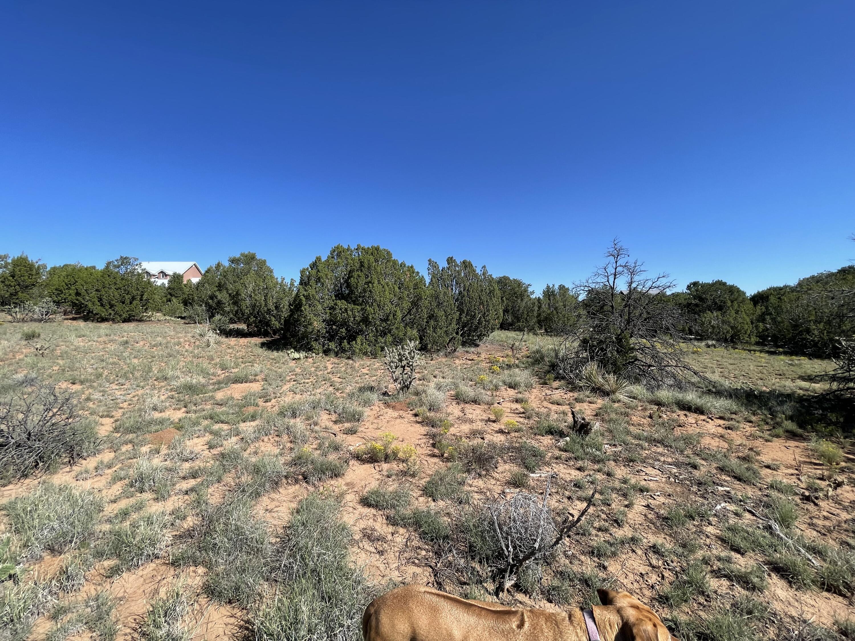 2 Tigua Drive, Sandia Park, New Mexico image 17