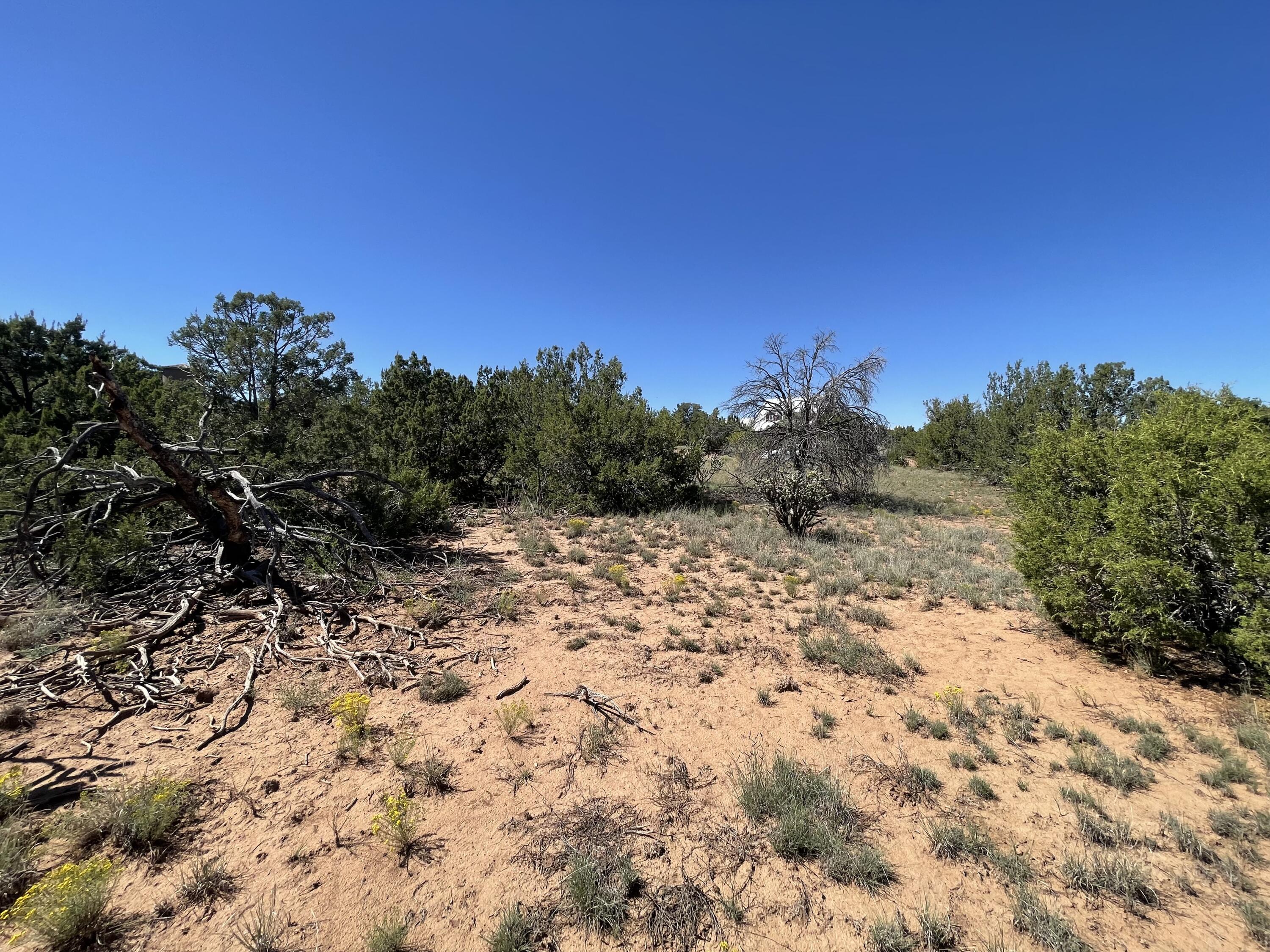 2 Tigua Drive, Sandia Park, New Mexico image 6