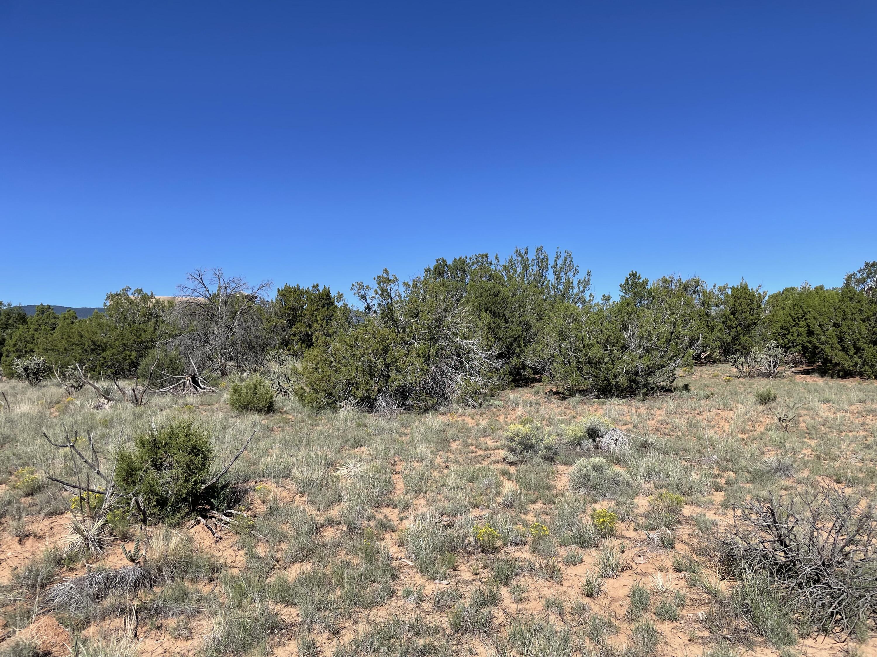 2 Tigua Drive, Sandia Park, New Mexico image 19