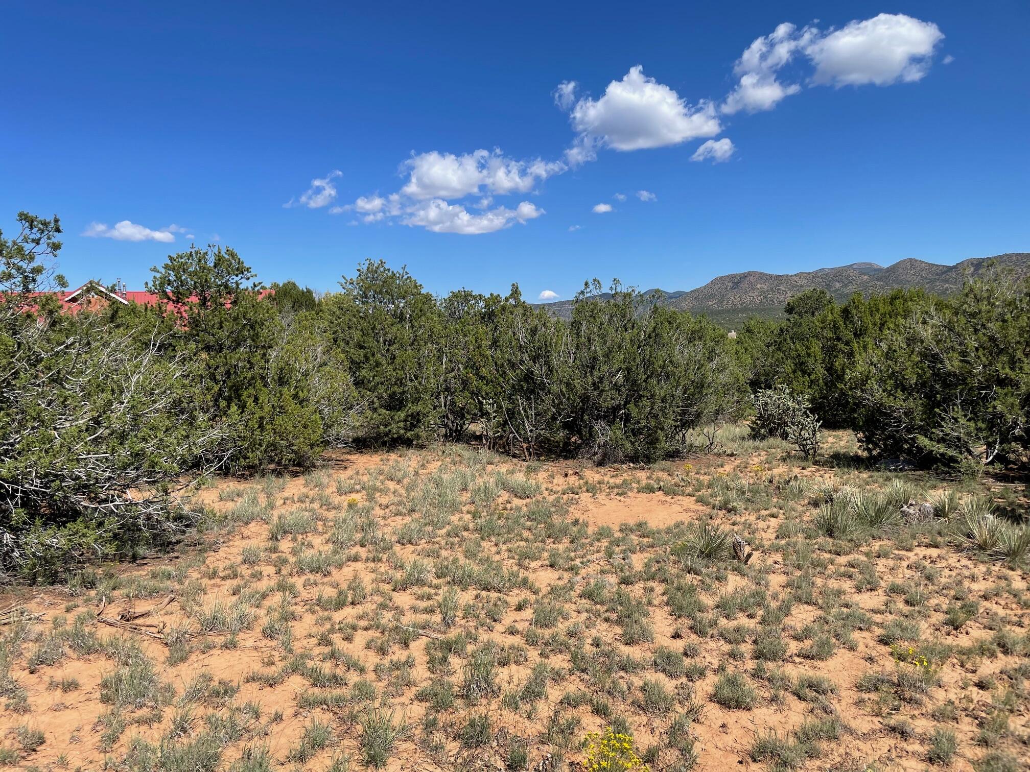 2 Tigua Drive, Sandia Park, New Mexico image 11