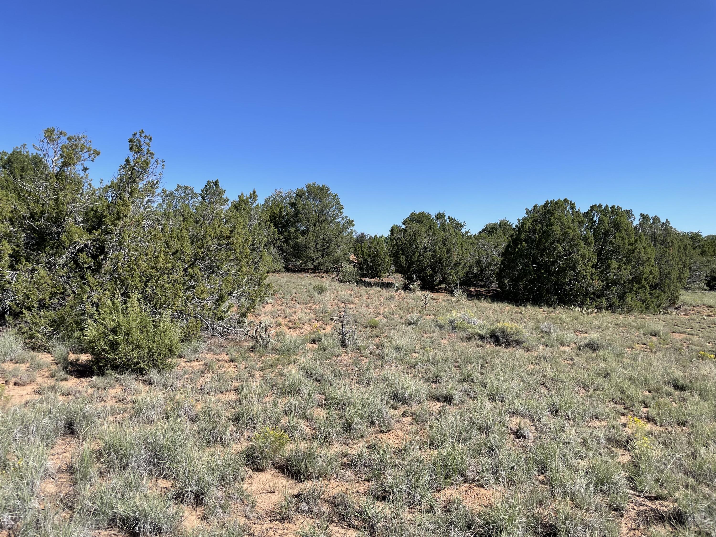 2 Tigua Drive, Sandia Park, New Mexico image 20