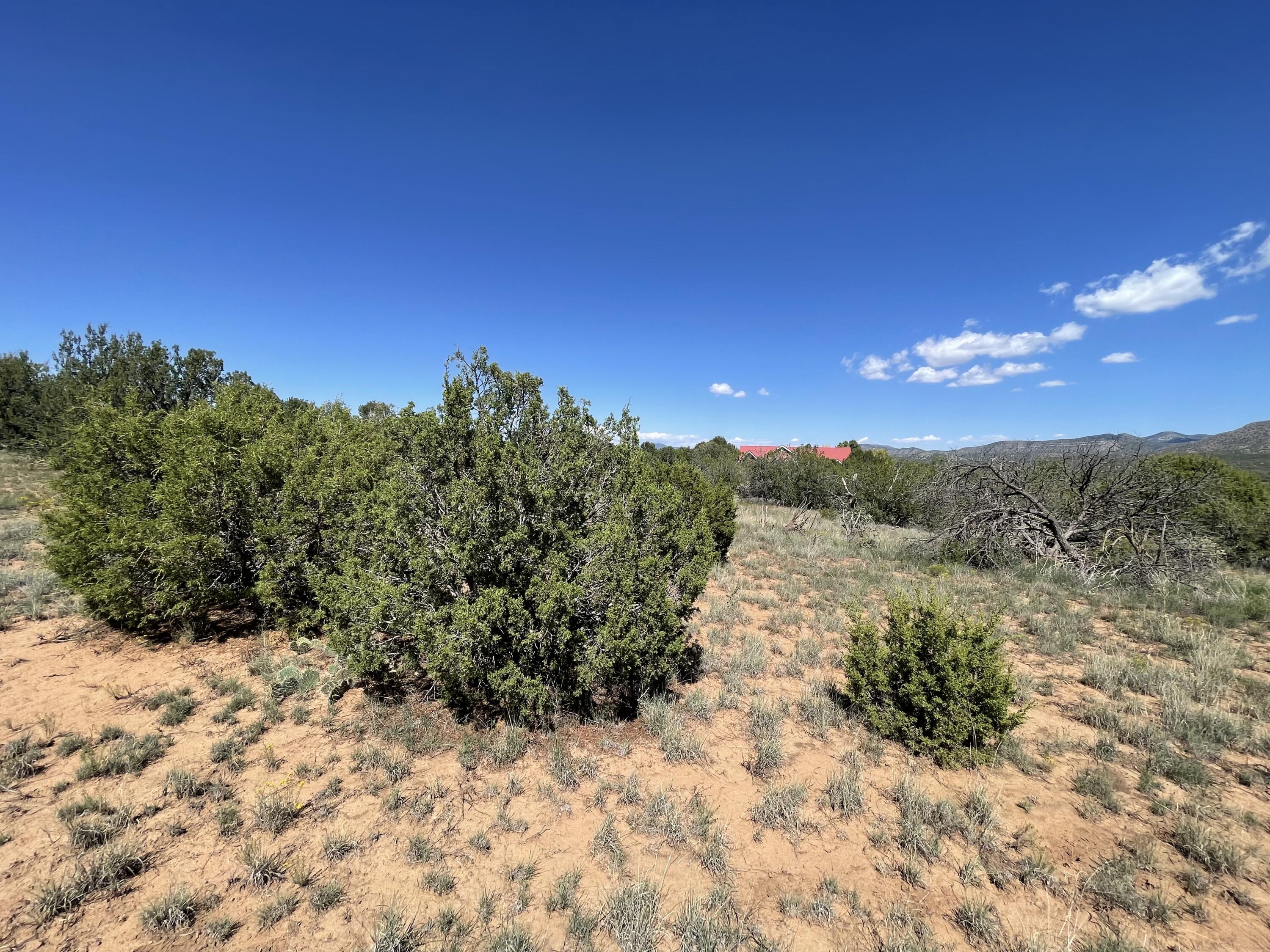 2 Tigua Drive, Sandia Park, New Mexico image 7