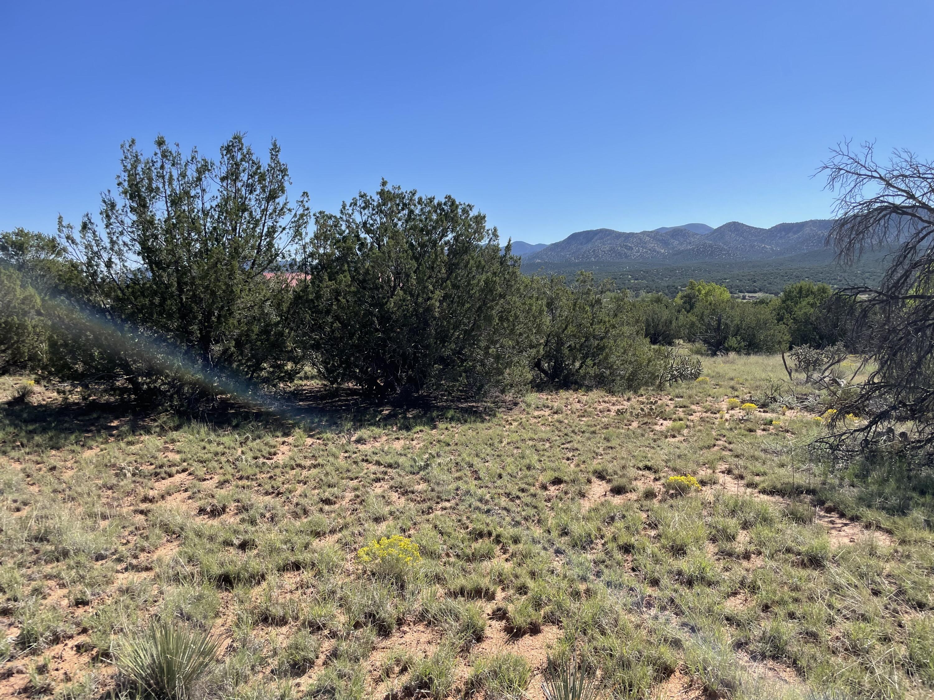 2 Tigua Drive, Sandia Park, New Mexico image 22