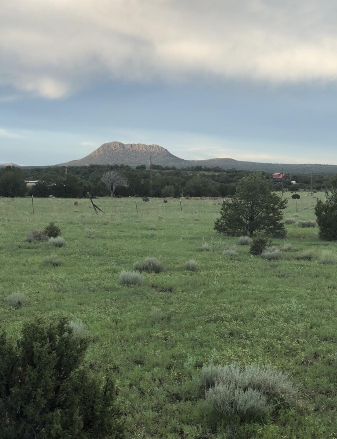 153 High Country Road, Fence Lake, New Mexico image 9