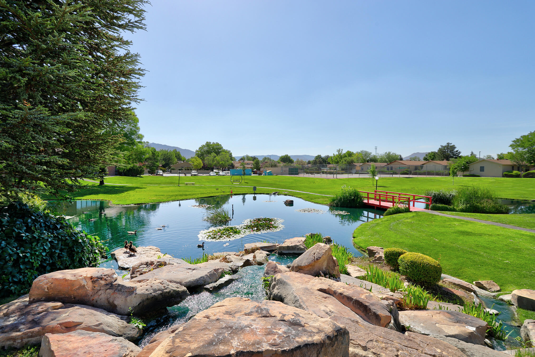 10403 Schenley Park Drive, Albuquerque, New Mexico image 32