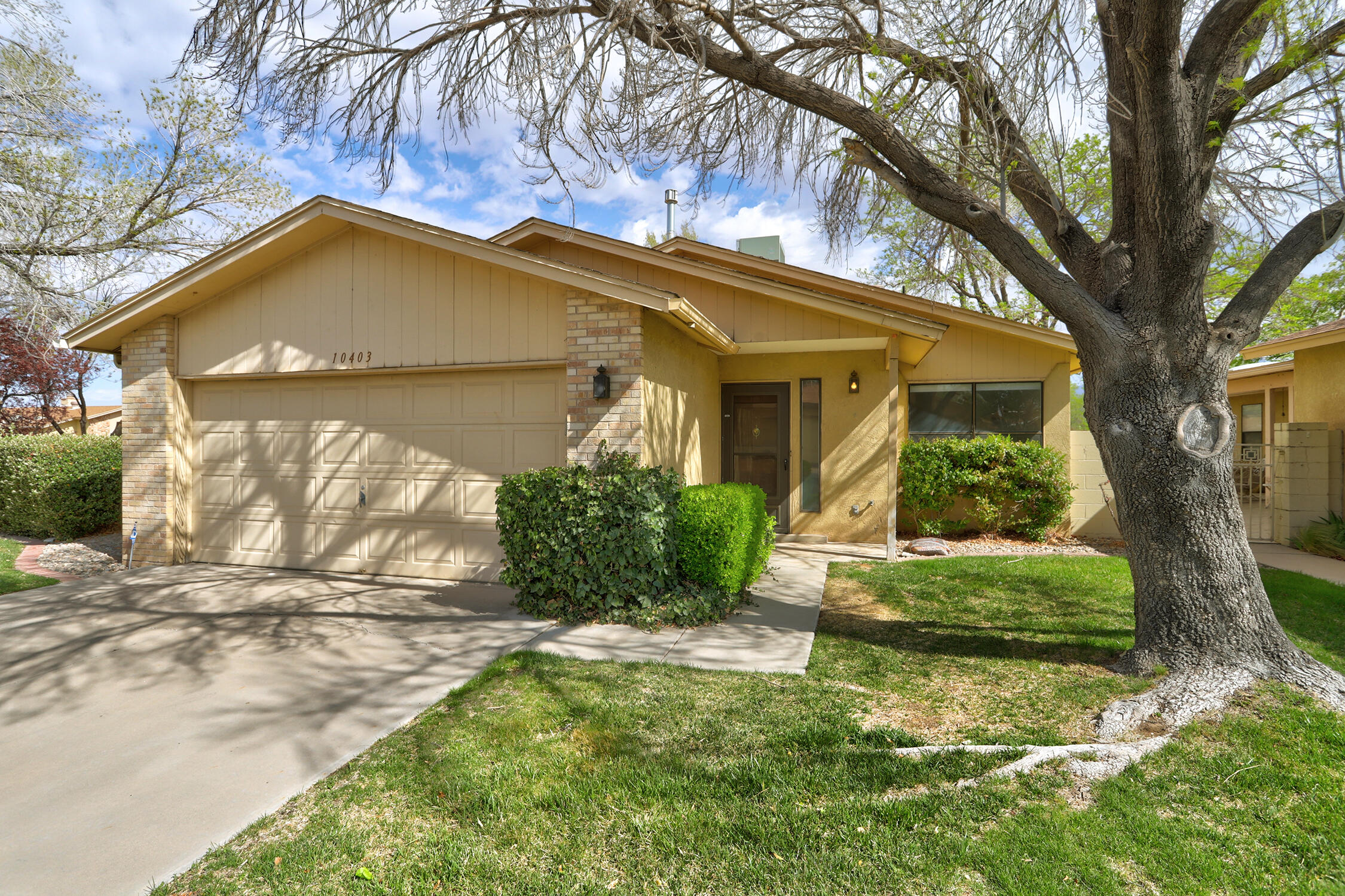 10403 Schenley Park Drive, Albuquerque, New Mexico image 1