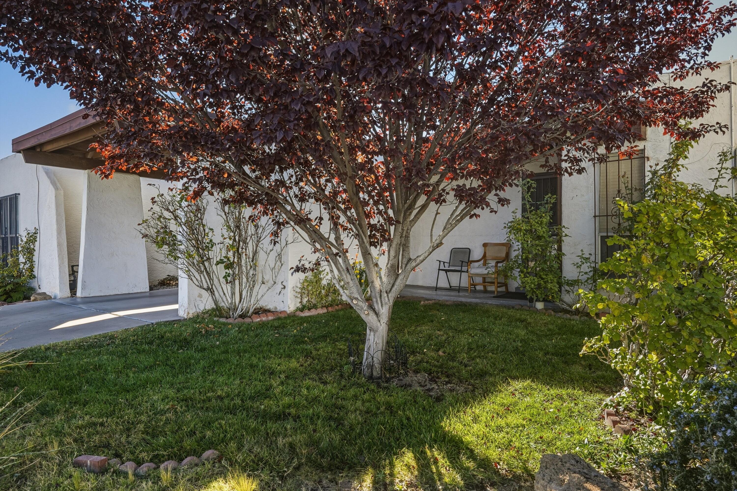 125 Calle Sol SE Mete NW