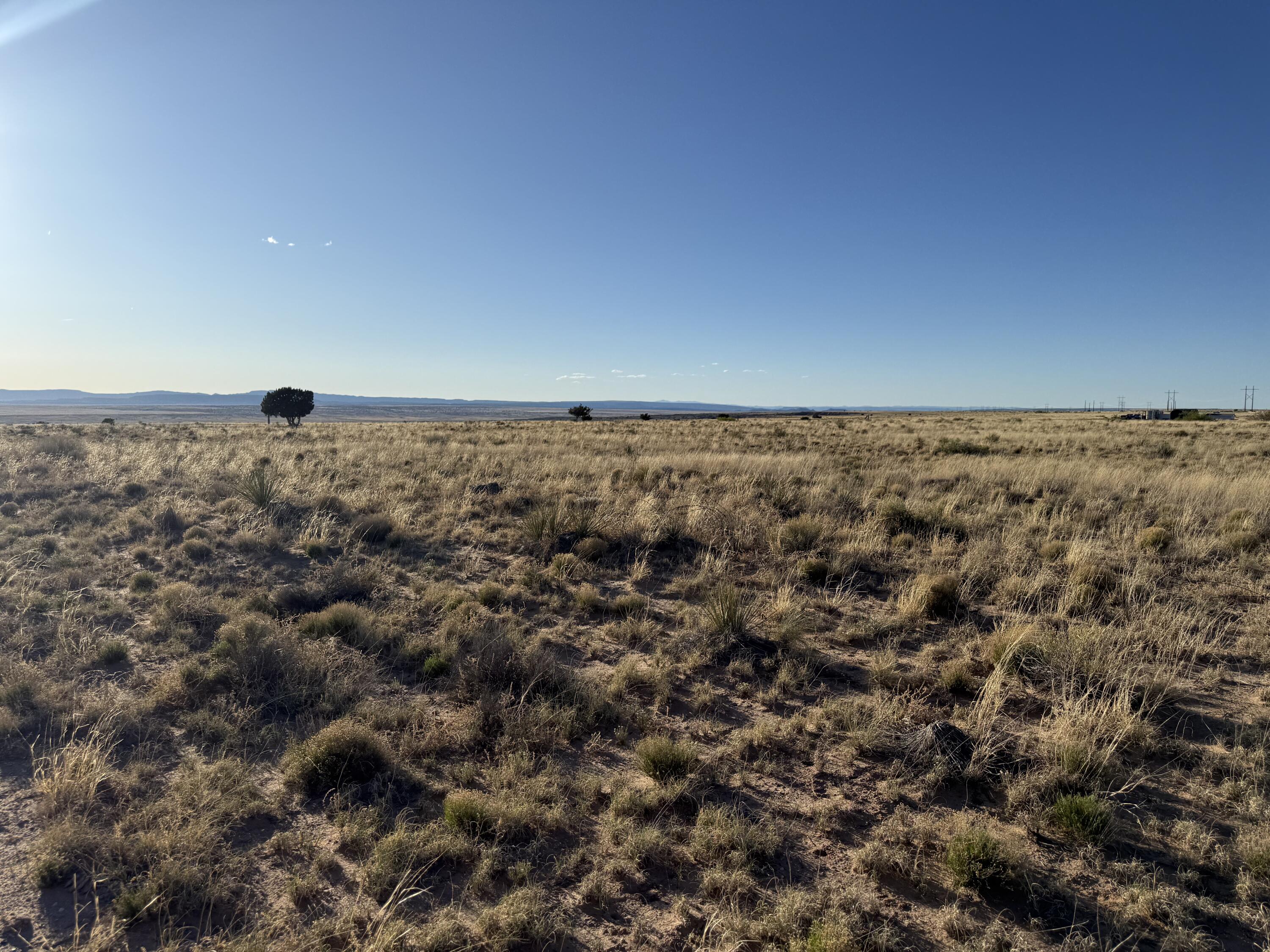 504 & 505 Twining Lane