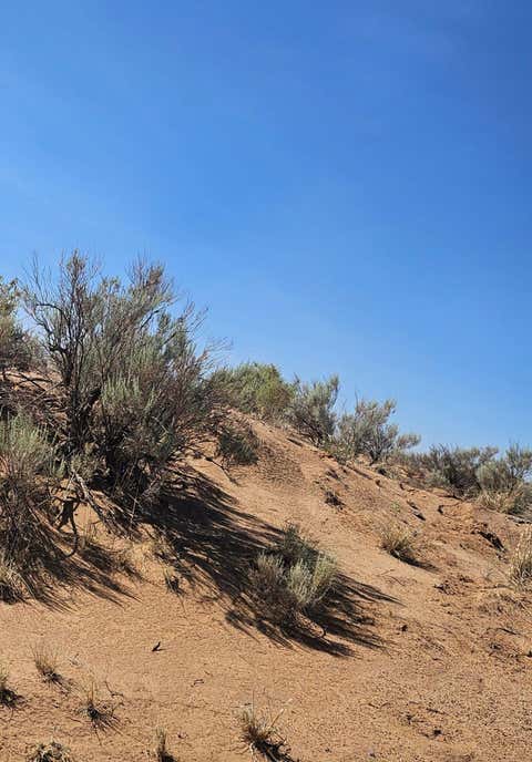 Vacant Land For Sale - TBD Dalies<br/> Los Lunas, NM 87031