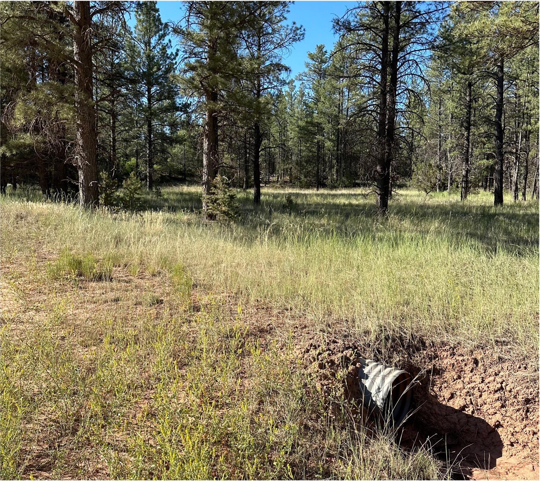 Lot 3 Halcon Road, Ramah, New Mexico image 26