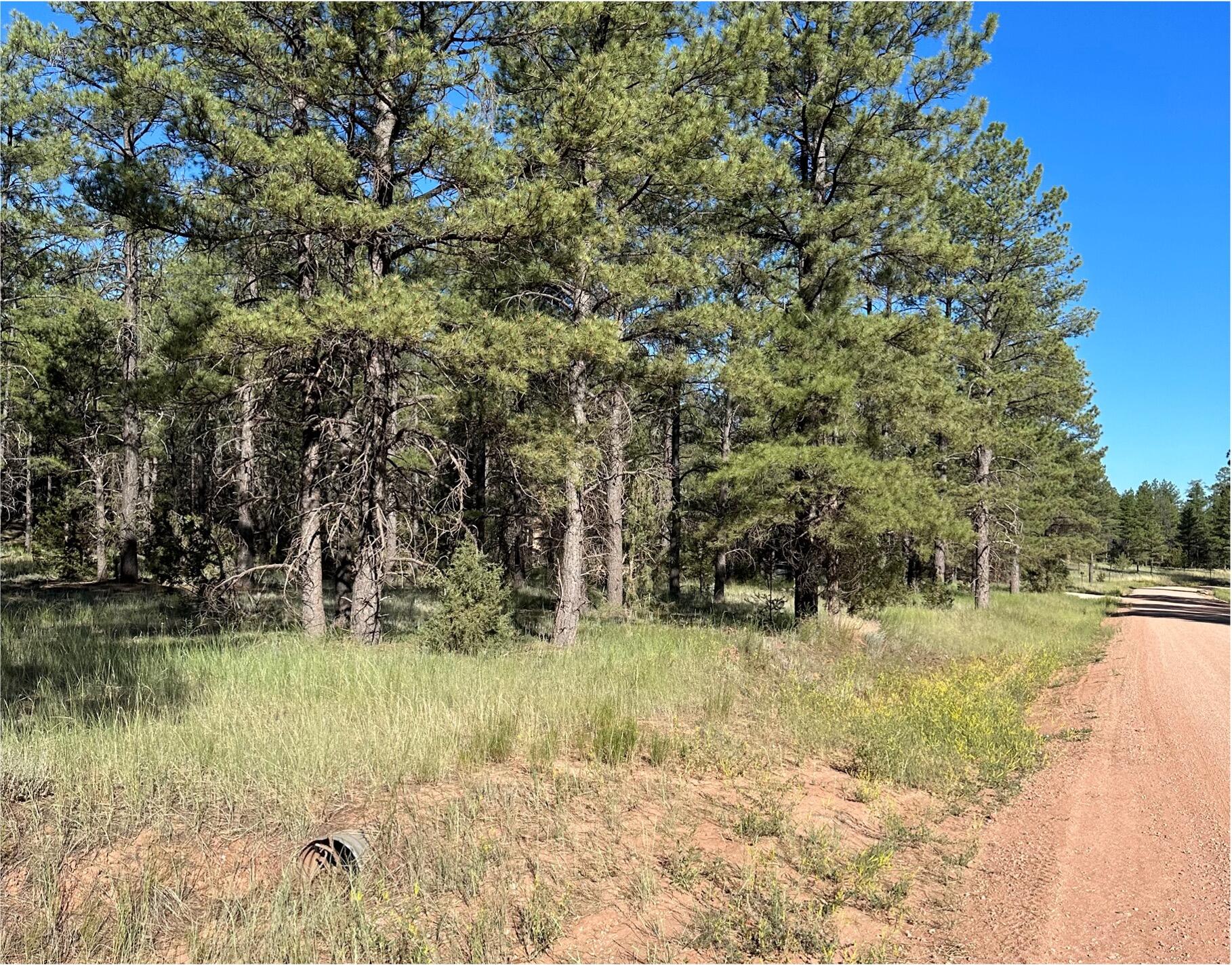 Lot 3 Halcon Road, Ramah, New Mexico image 23