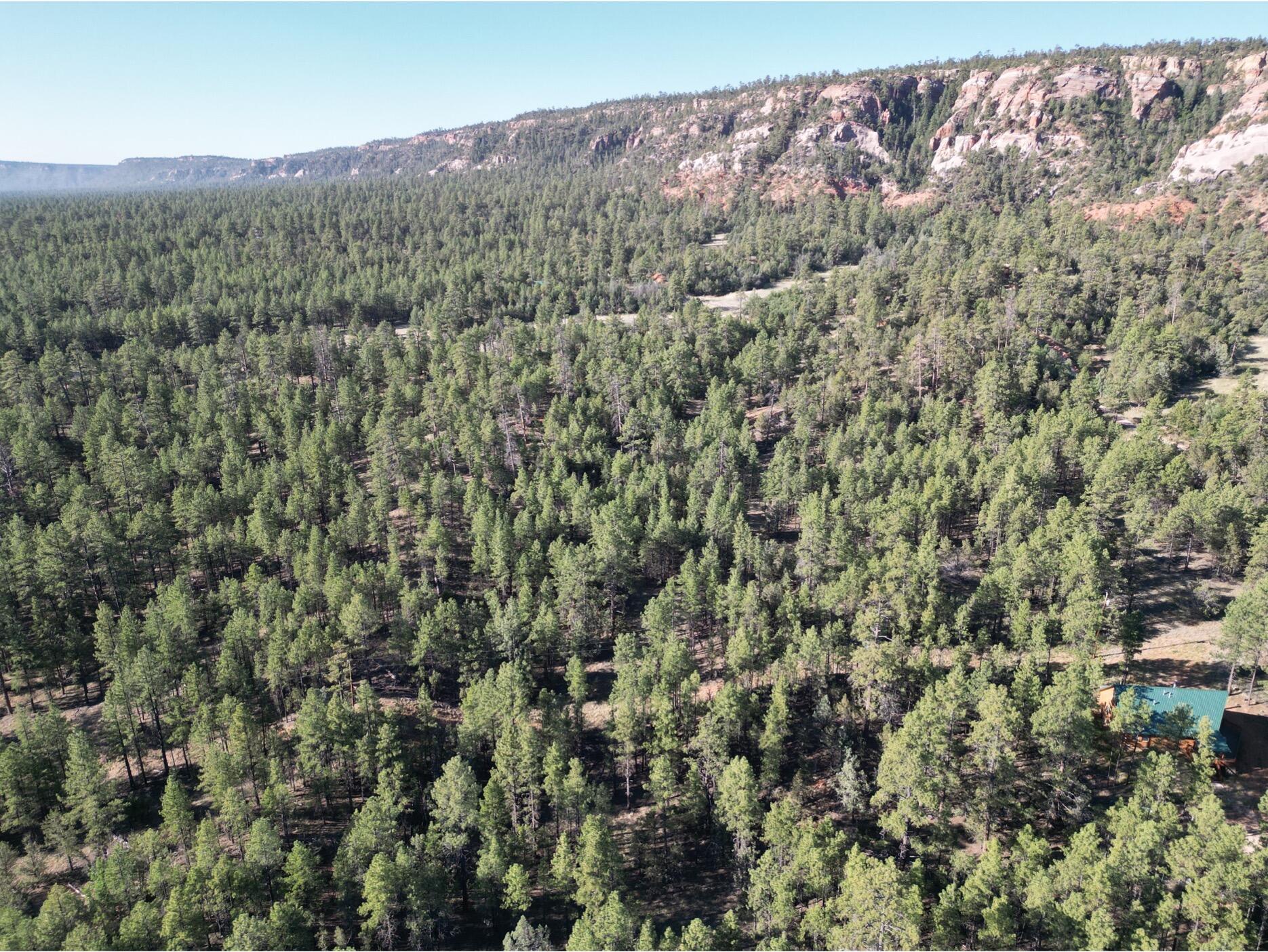 Lot 3 Halcon Road, Ramah, New Mexico image 6