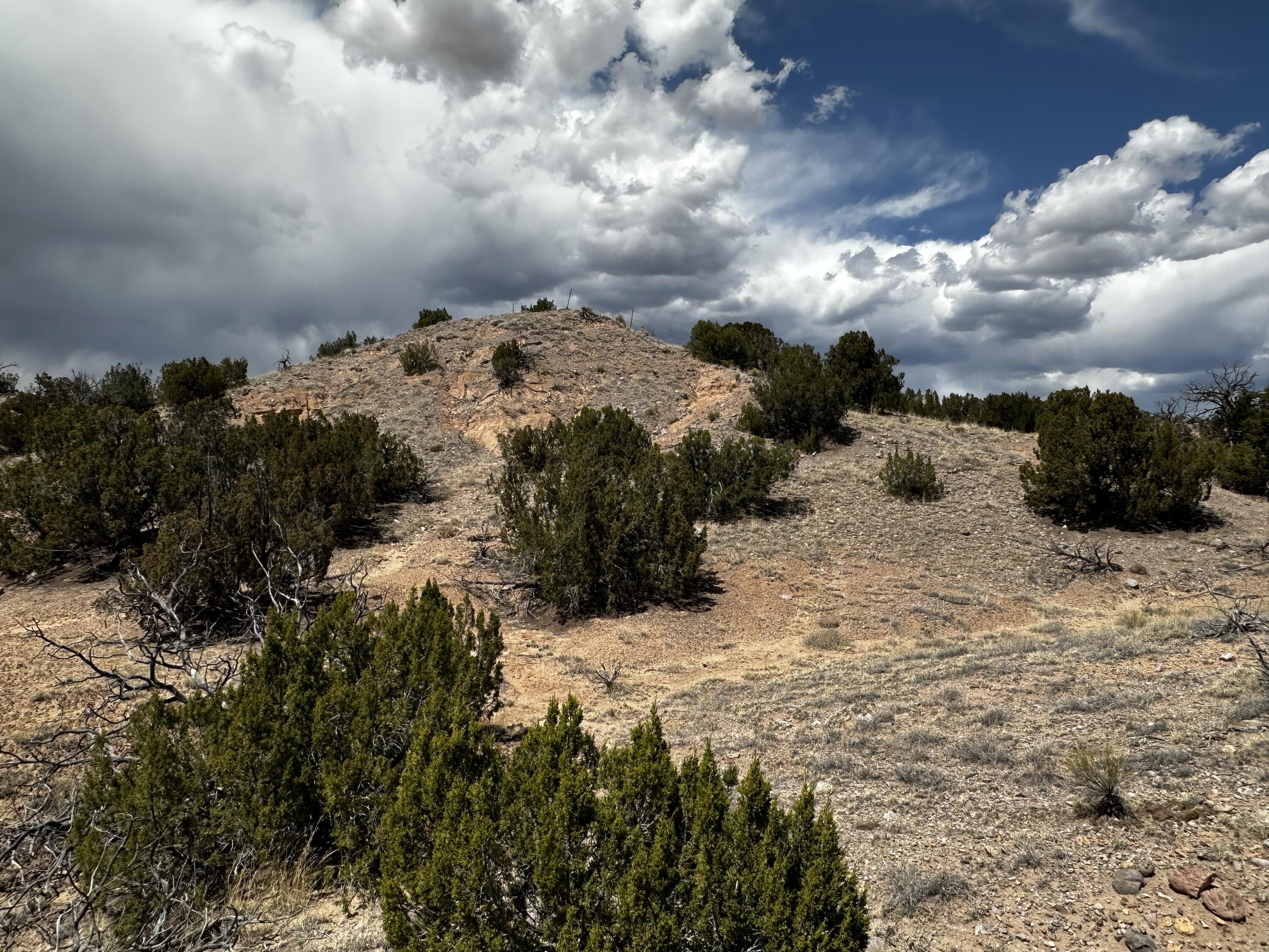 Wild Onion Road, Medanales, New Mexico image 14