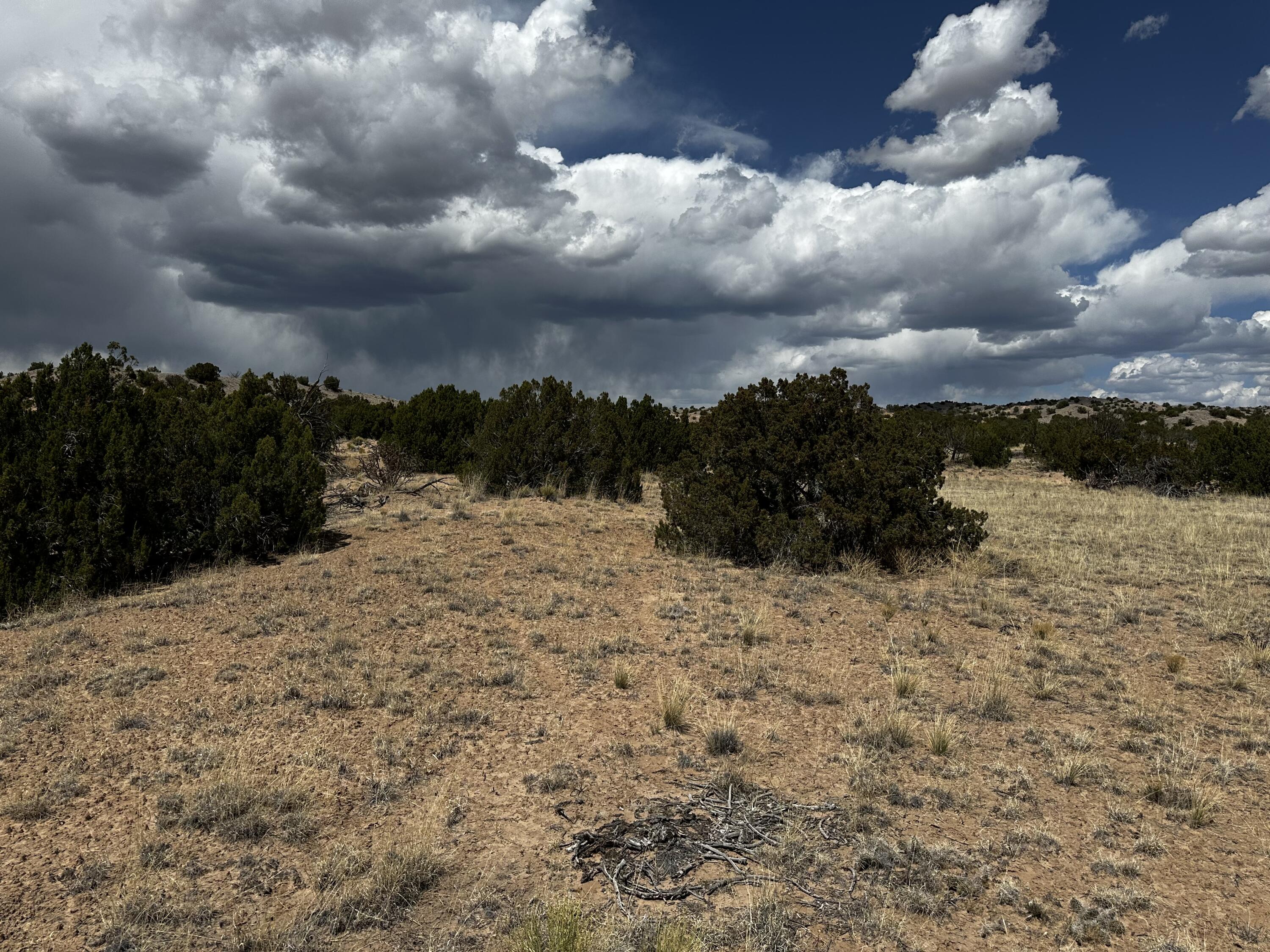 Wild Onion Road, Medanales, New Mexico image 18