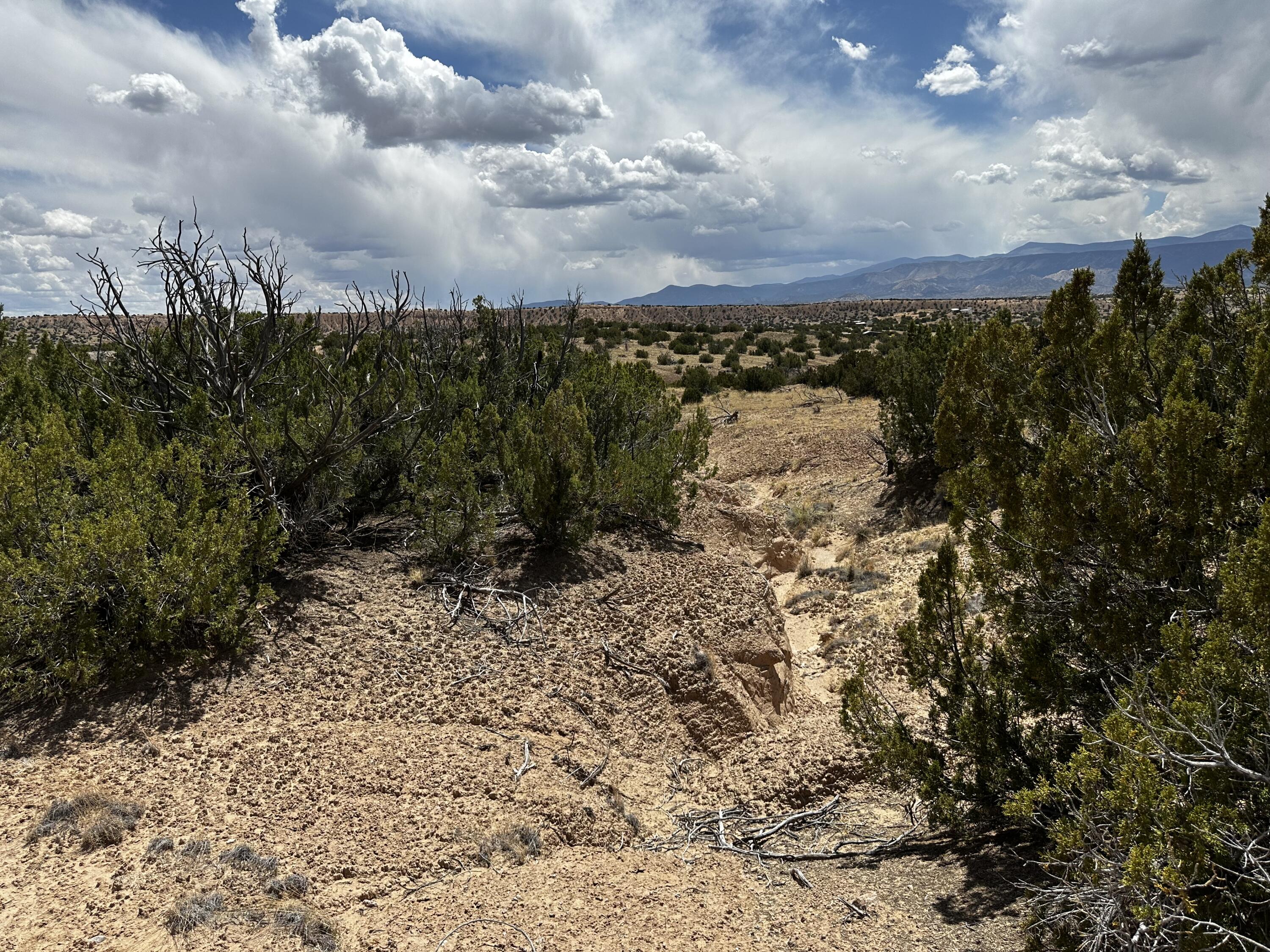 Wild Onion Road, Medanales, New Mexico image 12