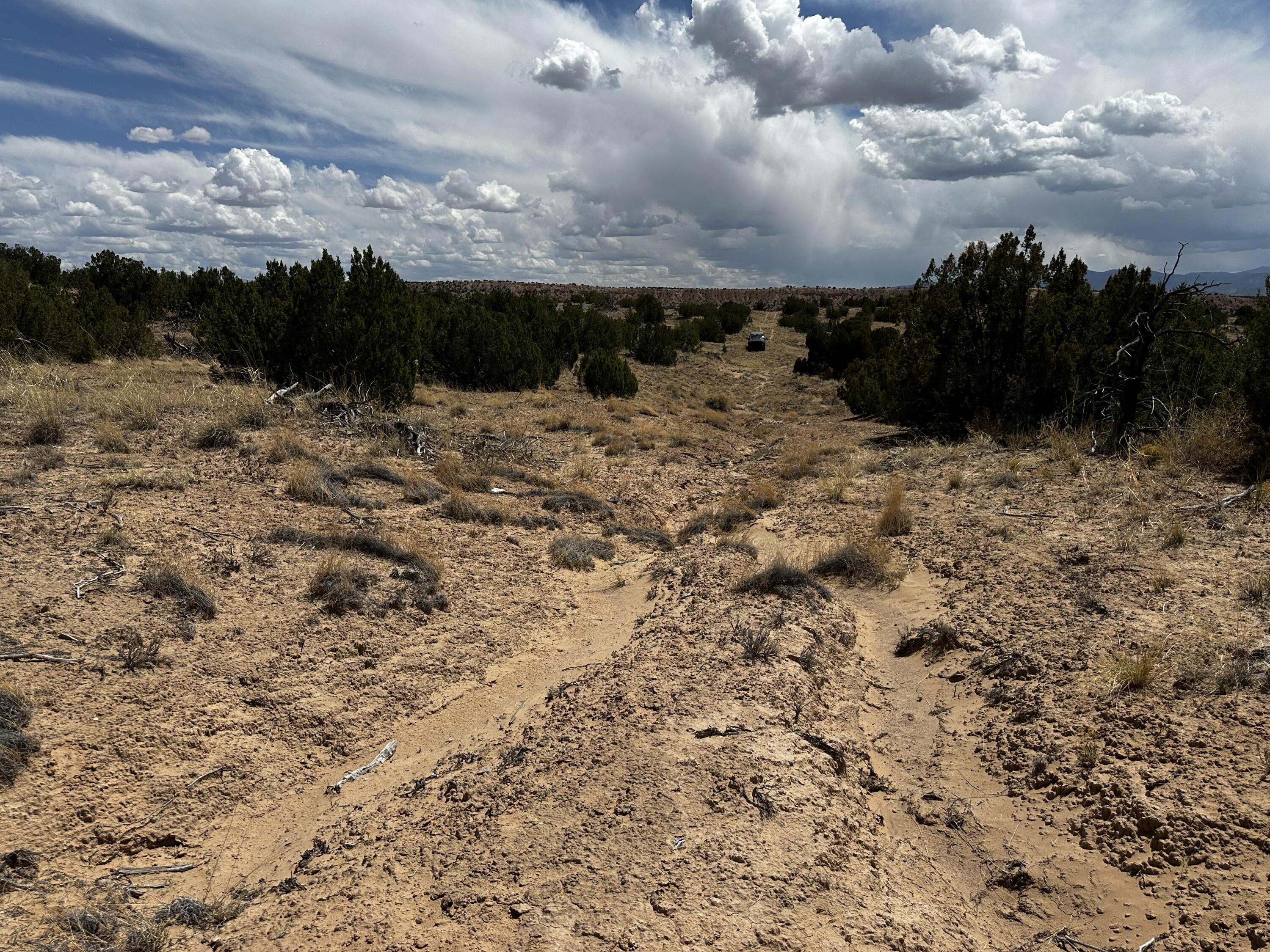 Wild Onion Road, Medanales, New Mexico image 8