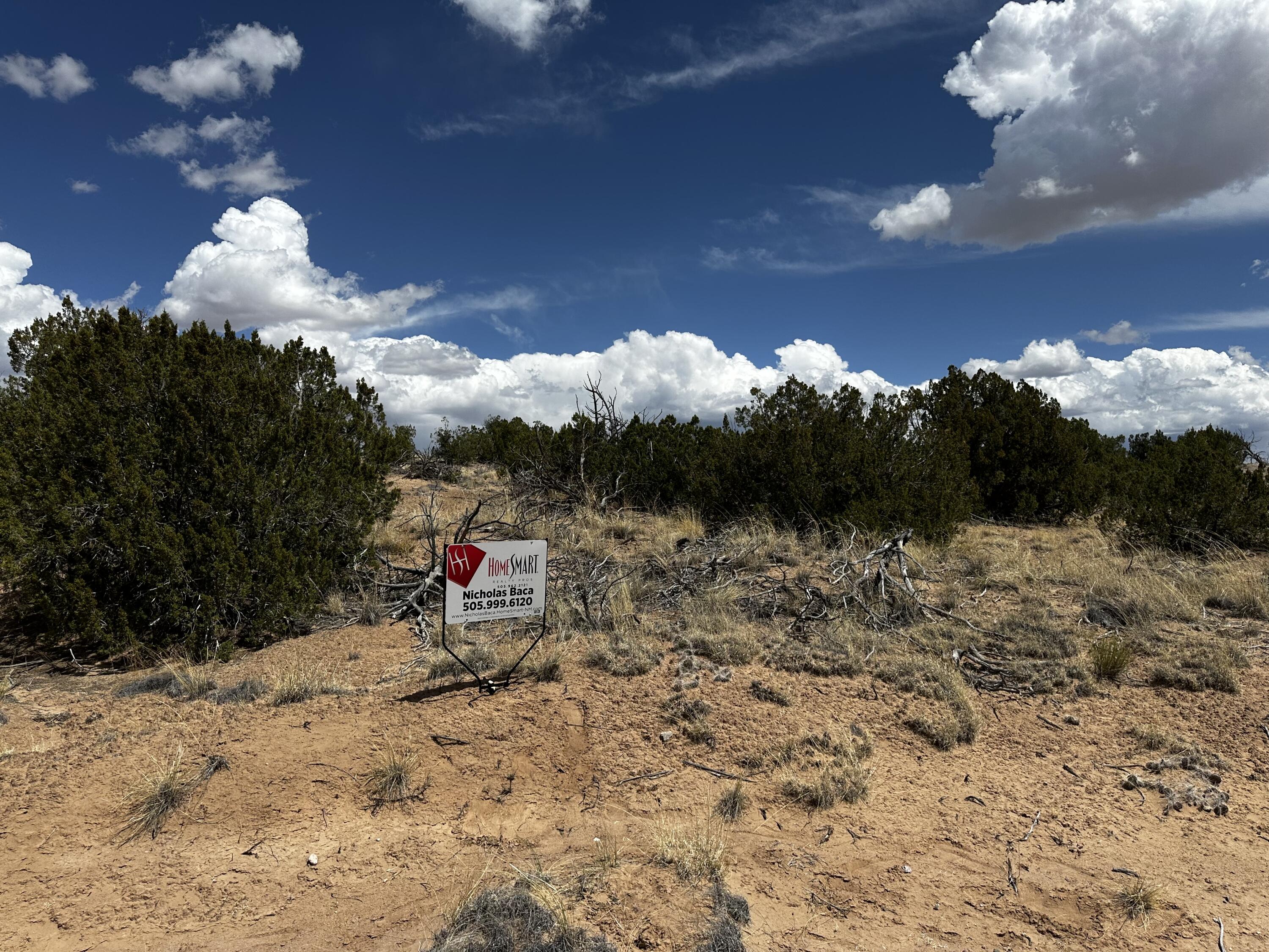 Wild Onion Road, Medanales, New Mexico image 1
