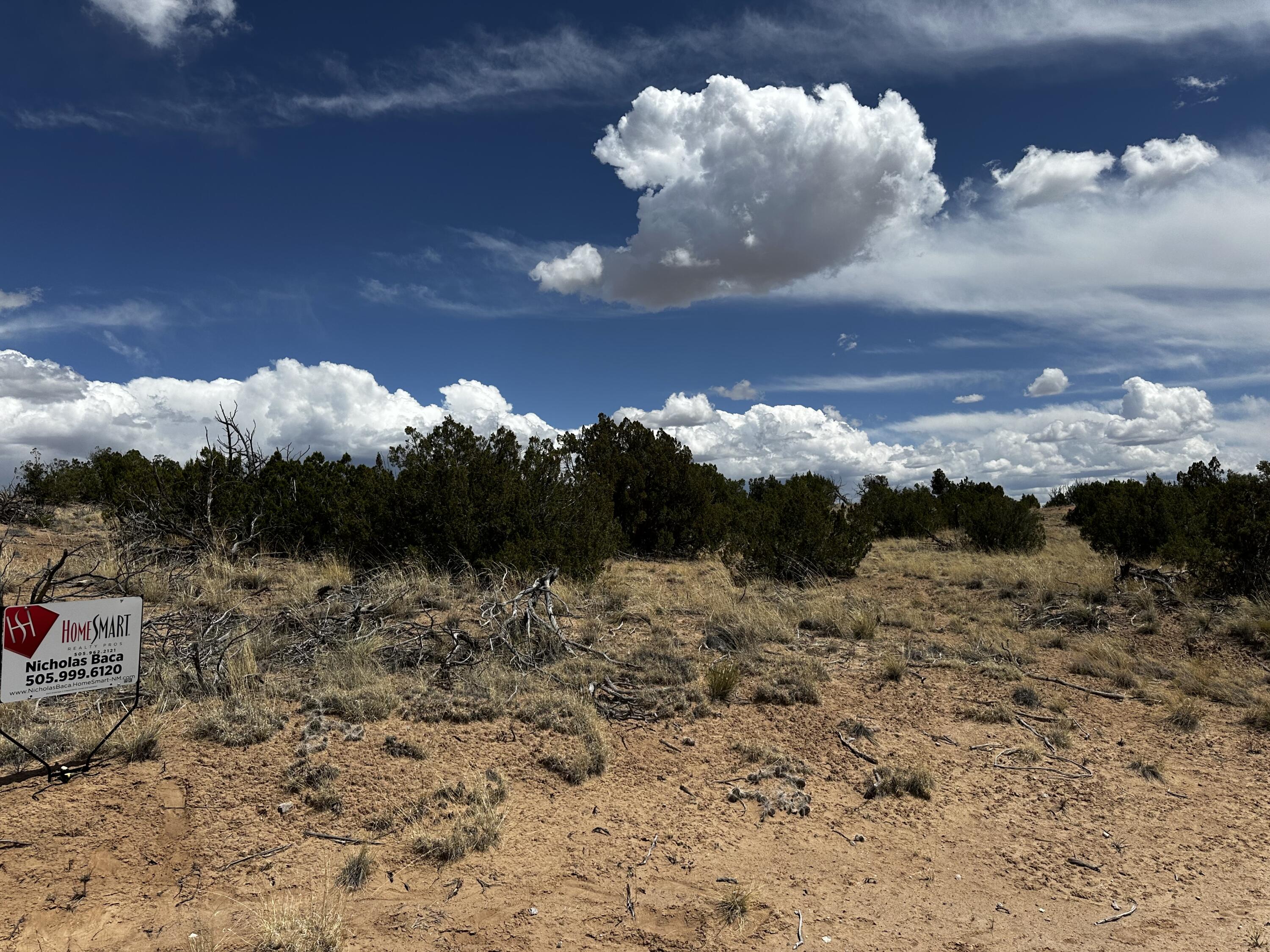 Wild Onion Road, Medanales, New Mexico image 7