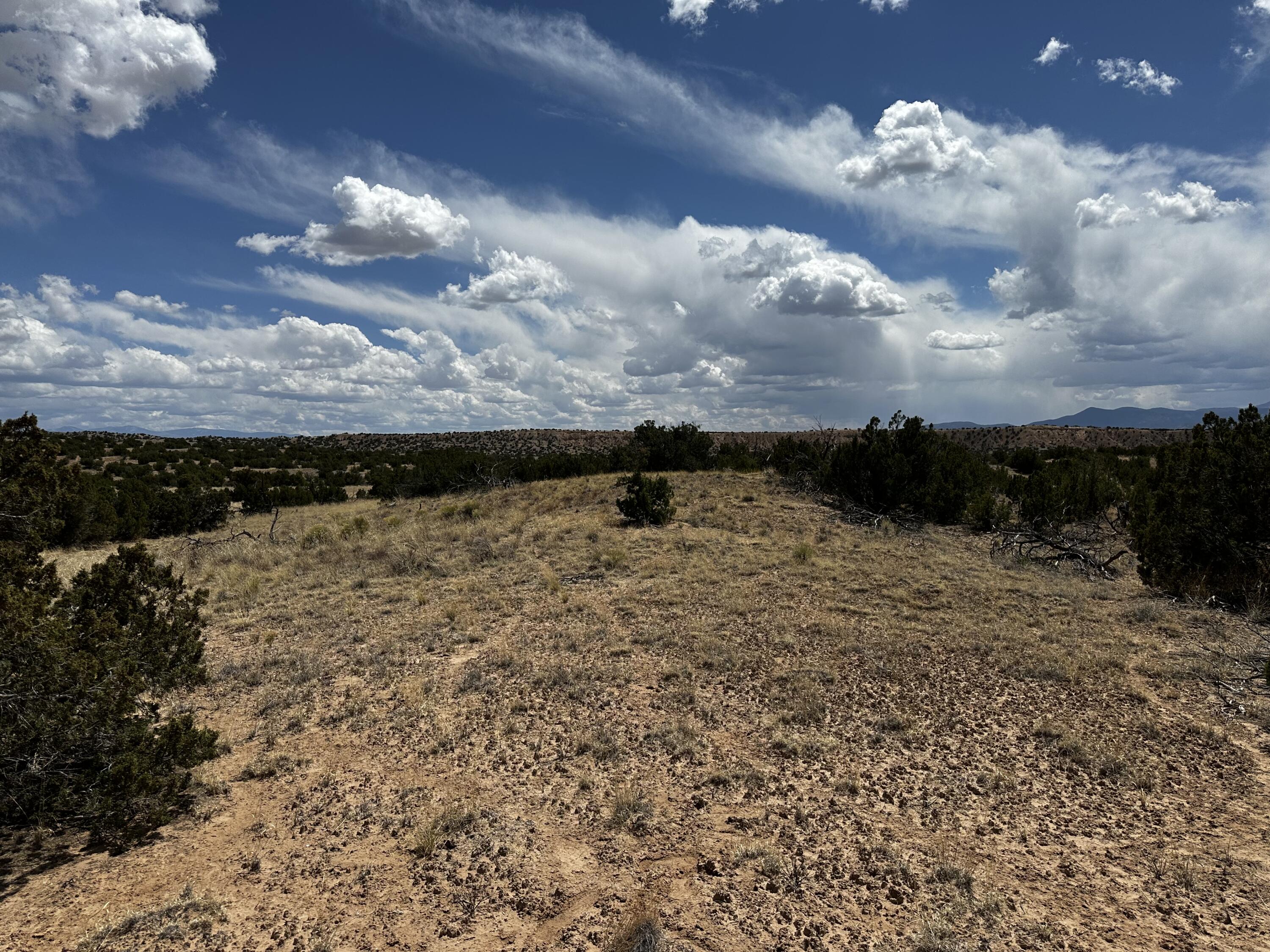 Wild Onion Road, Medanales, New Mexico image 21
