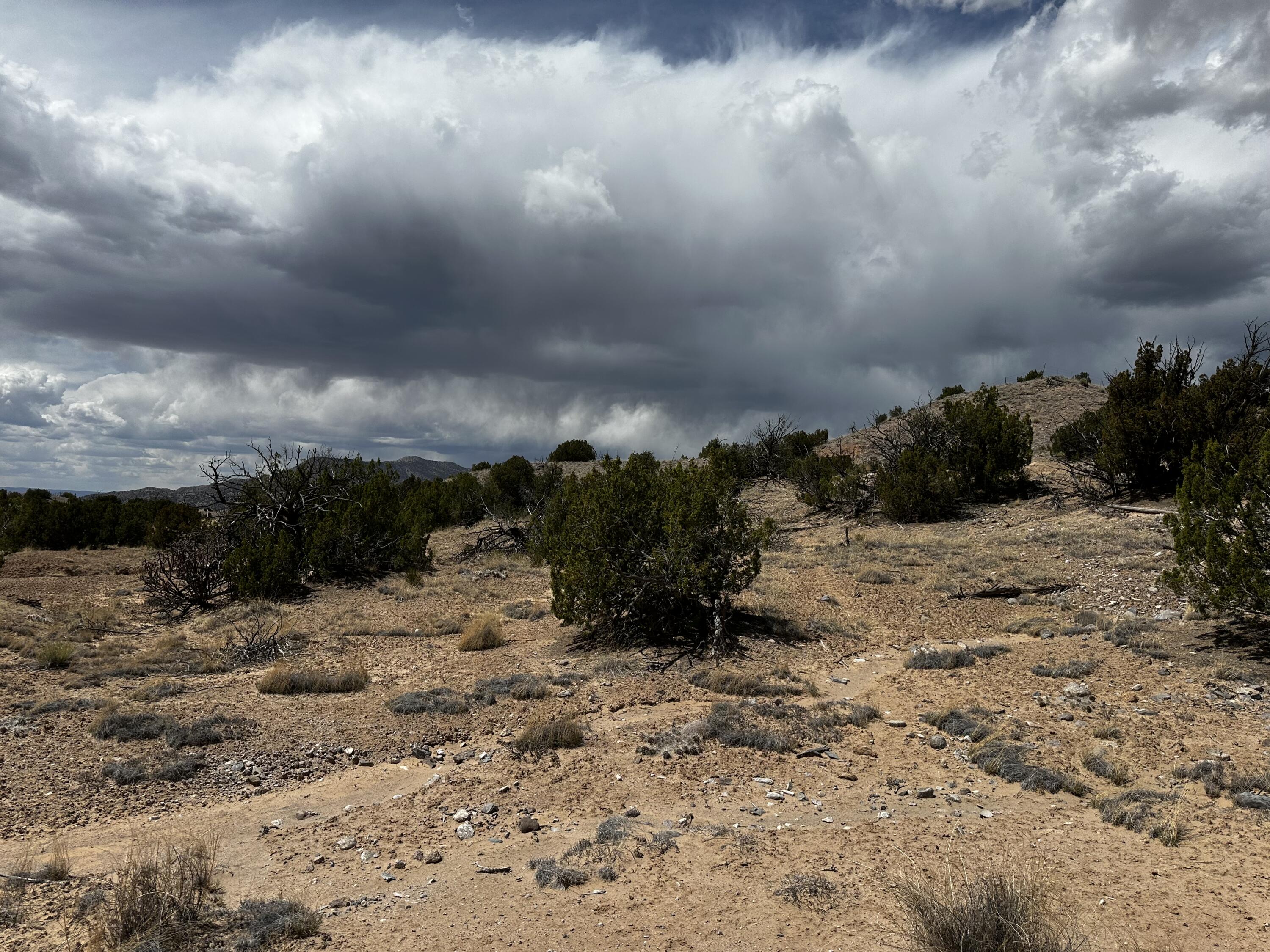 Wild Onion Road, Medanales, New Mexico image 6
