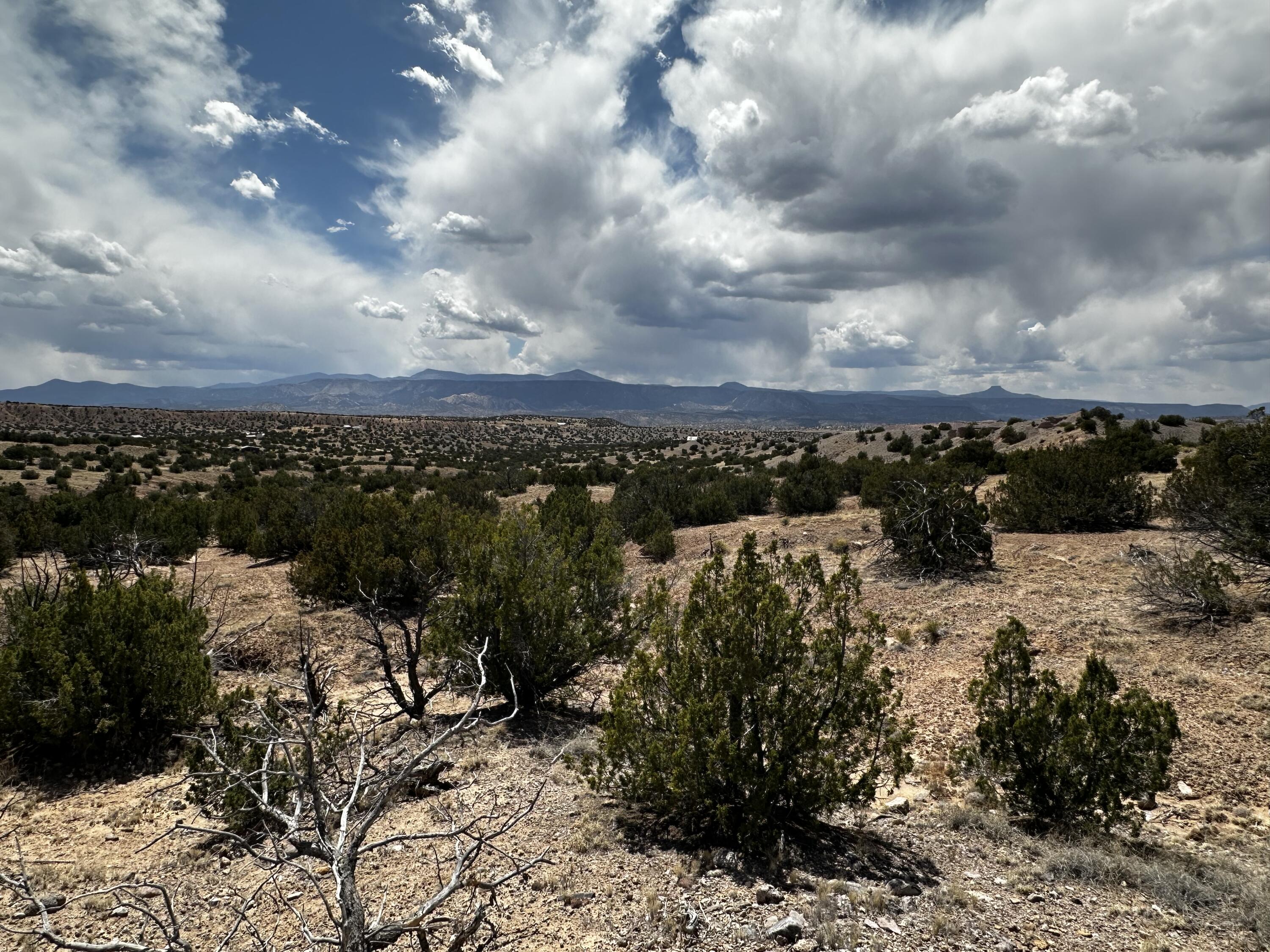 Wild Onion Road, Medanales, New Mexico image 16