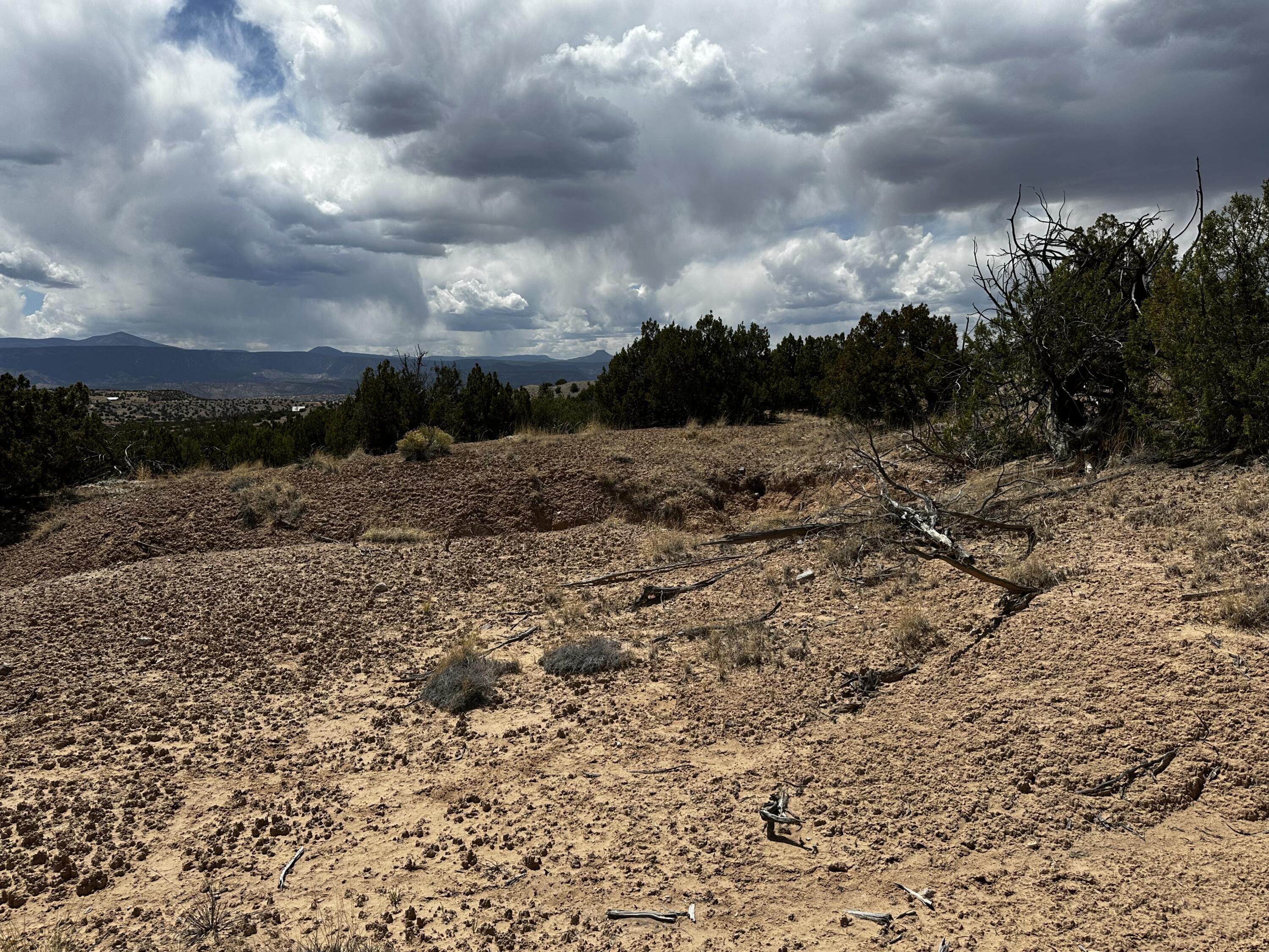 Wild Onion Road, Medanales, New Mexico image 13