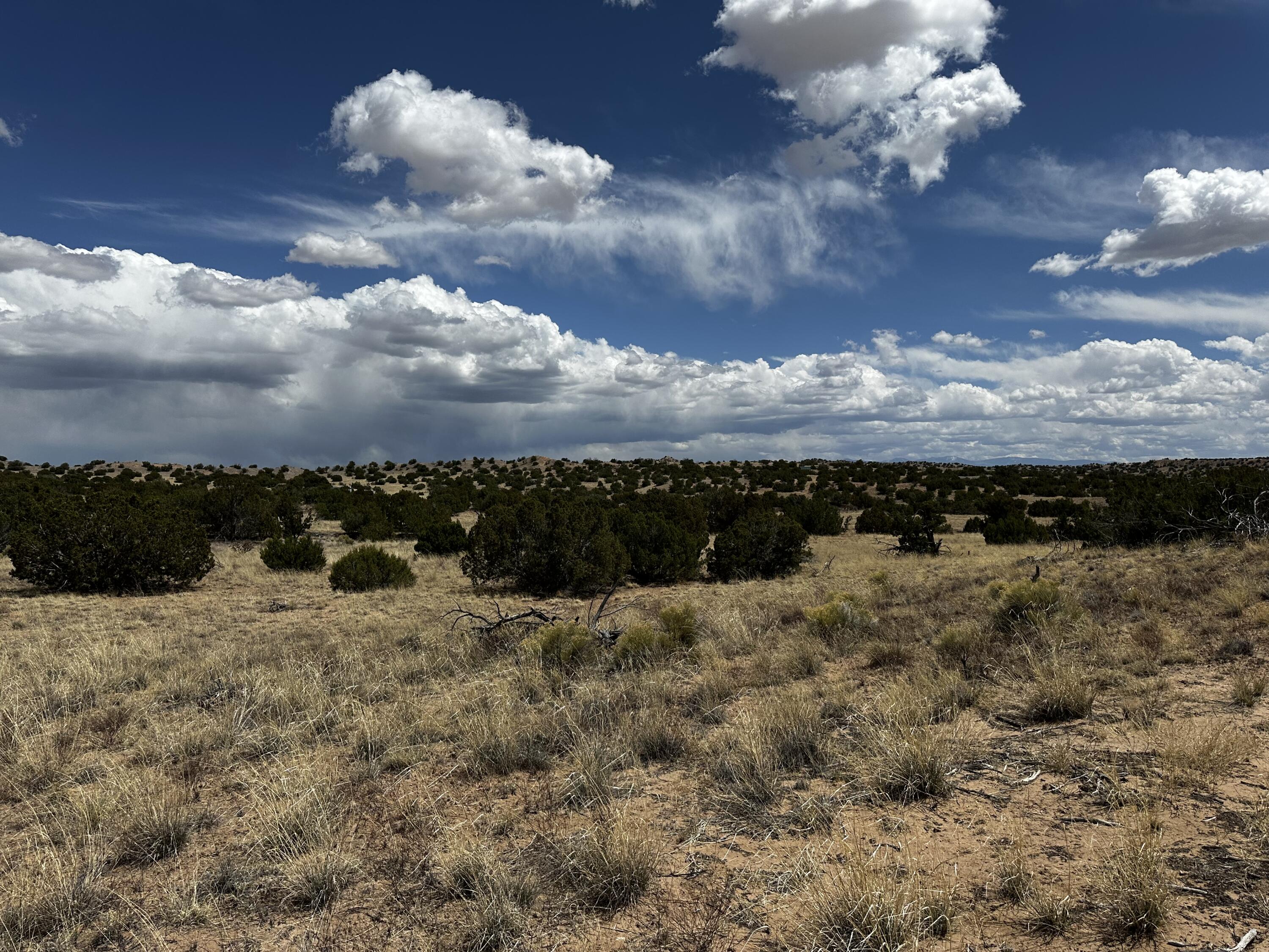 Wild Onion Road, Medanales, New Mexico image 19