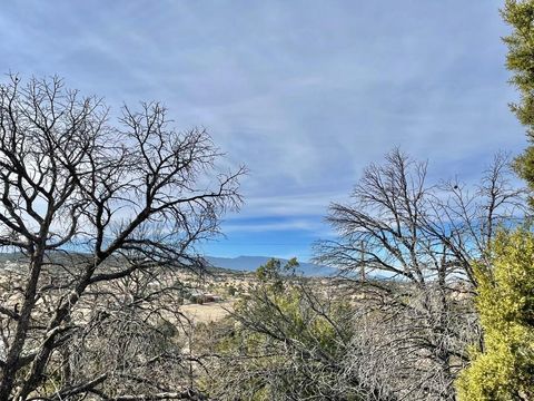 Vacant Land For Sale - 194 B County Line Road<br/> Edgewood, NM 87015