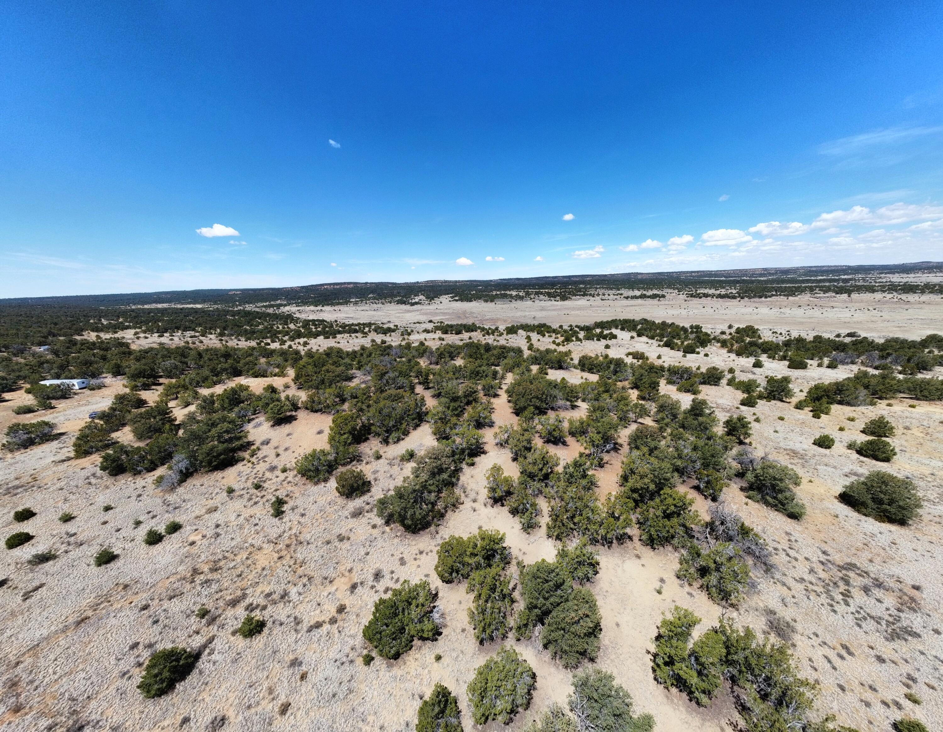 377 Five Gates Road, Ramah, New Mexico image 1