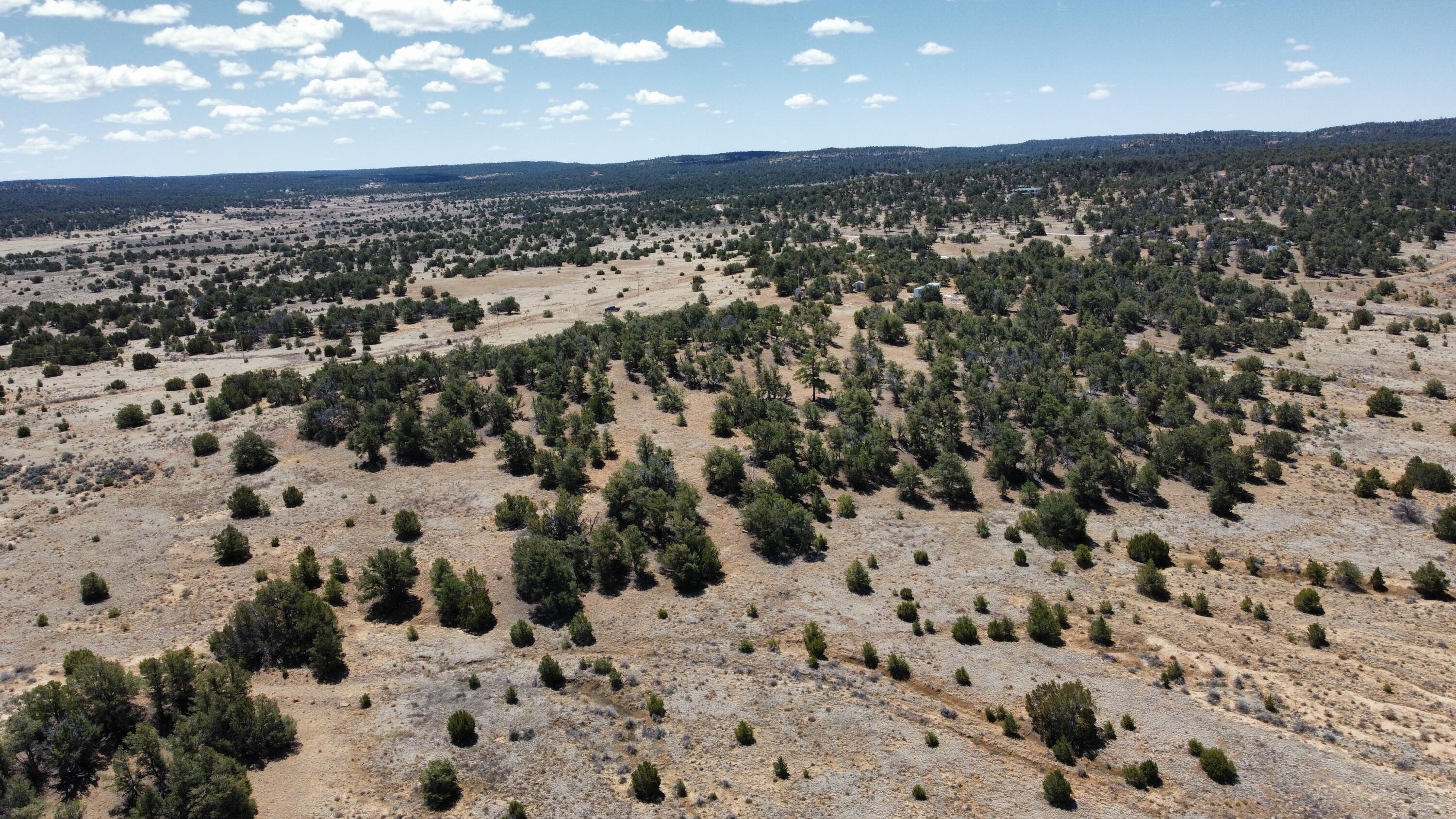 377 Five Gates Road, Ramah, New Mexico image 6