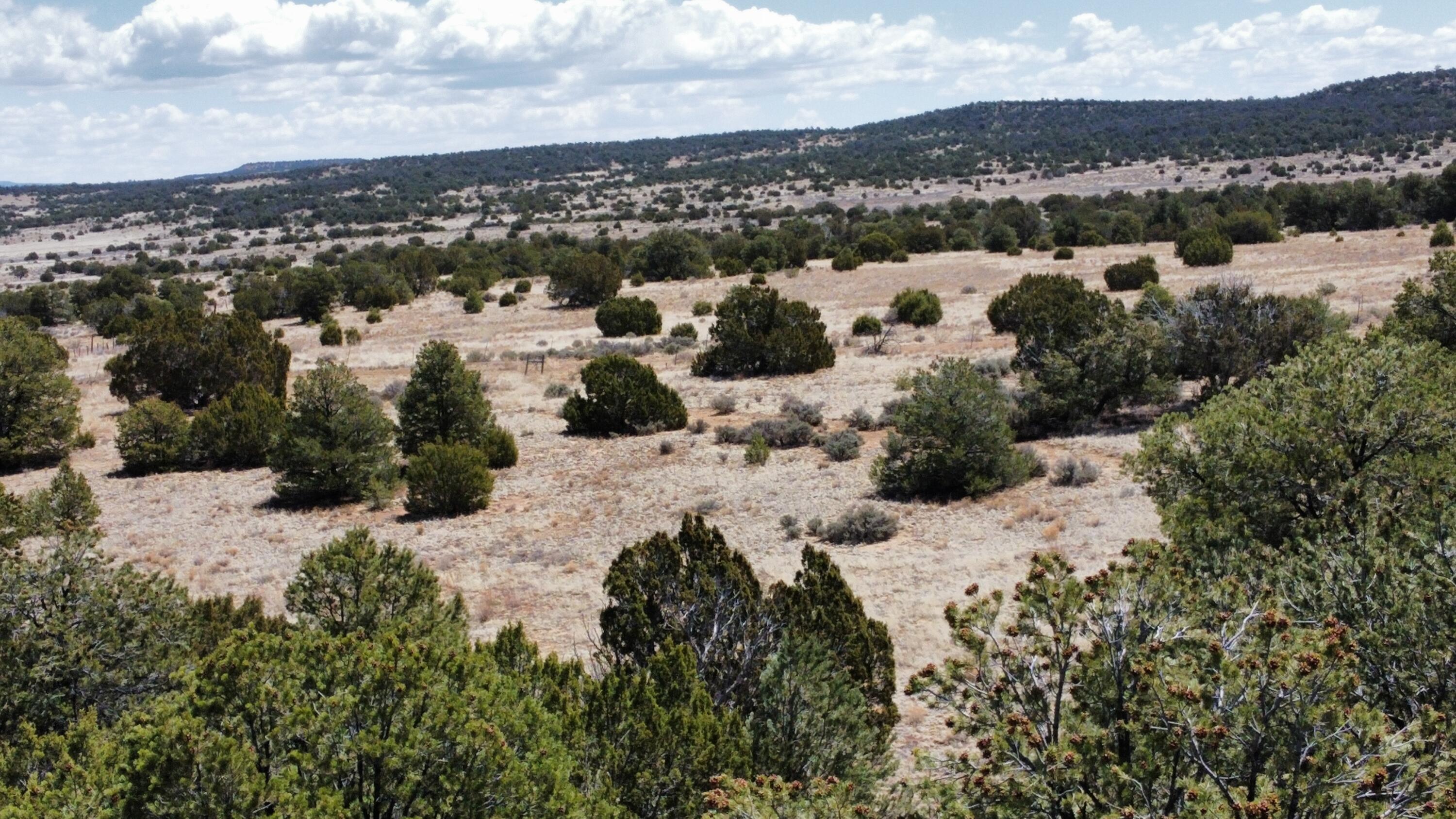 377 Five Gates Road, Ramah, New Mexico image 5