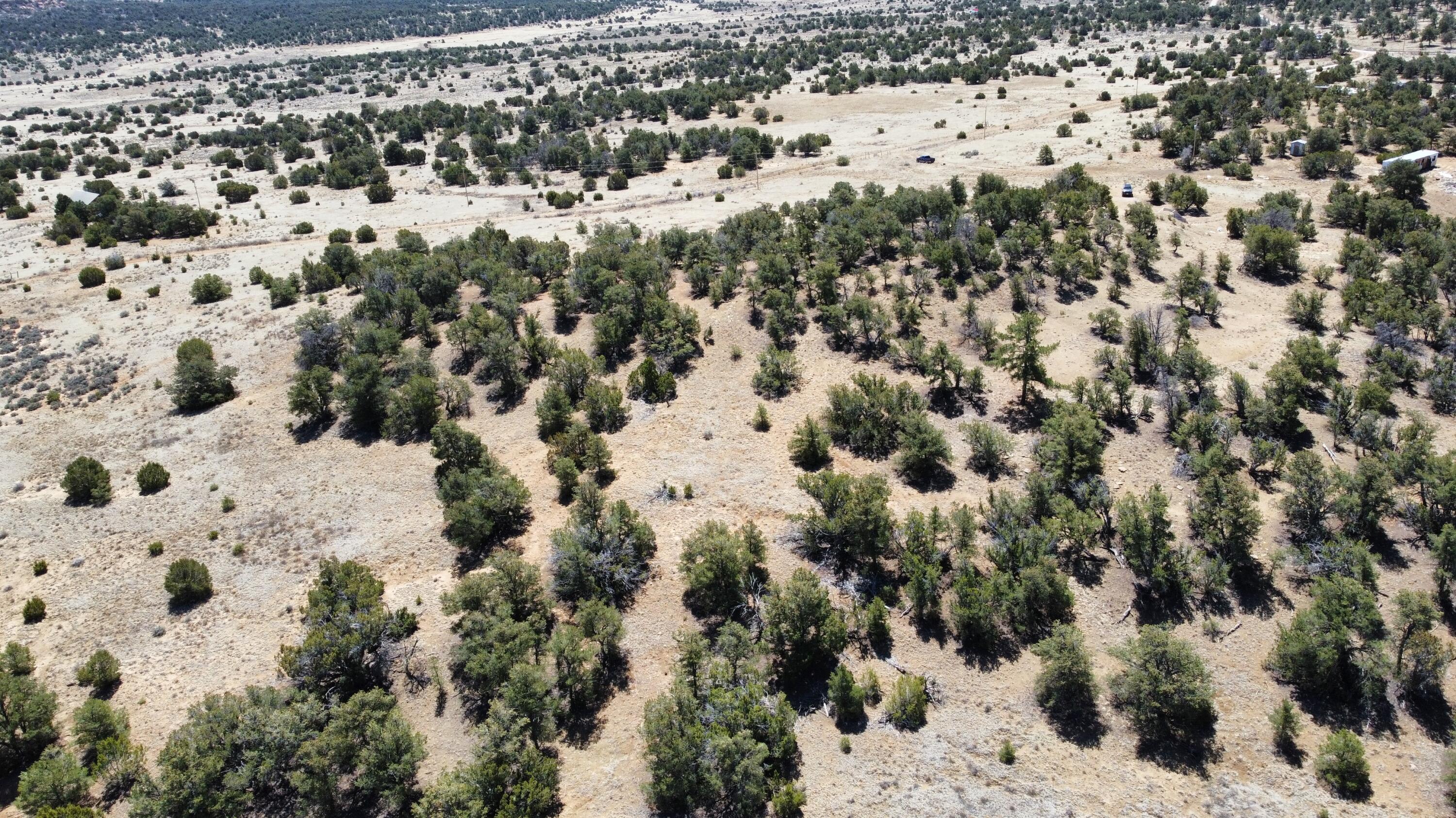377 Five Gates Road, Ramah, New Mexico image 7